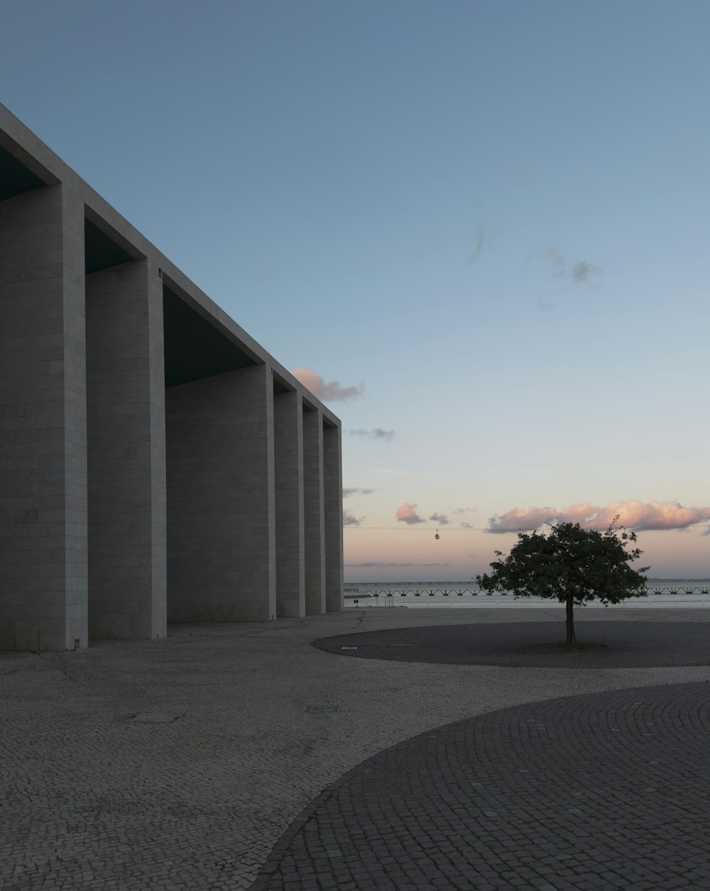 a lone tree in front of a concrete building