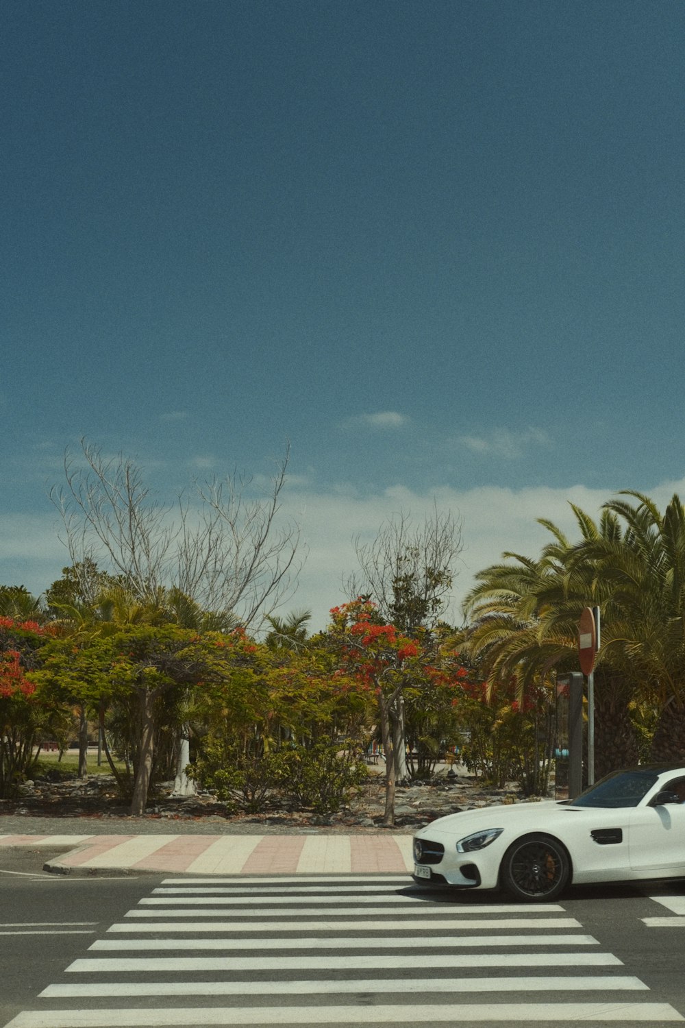 a white car driving down a street next to a palm tree