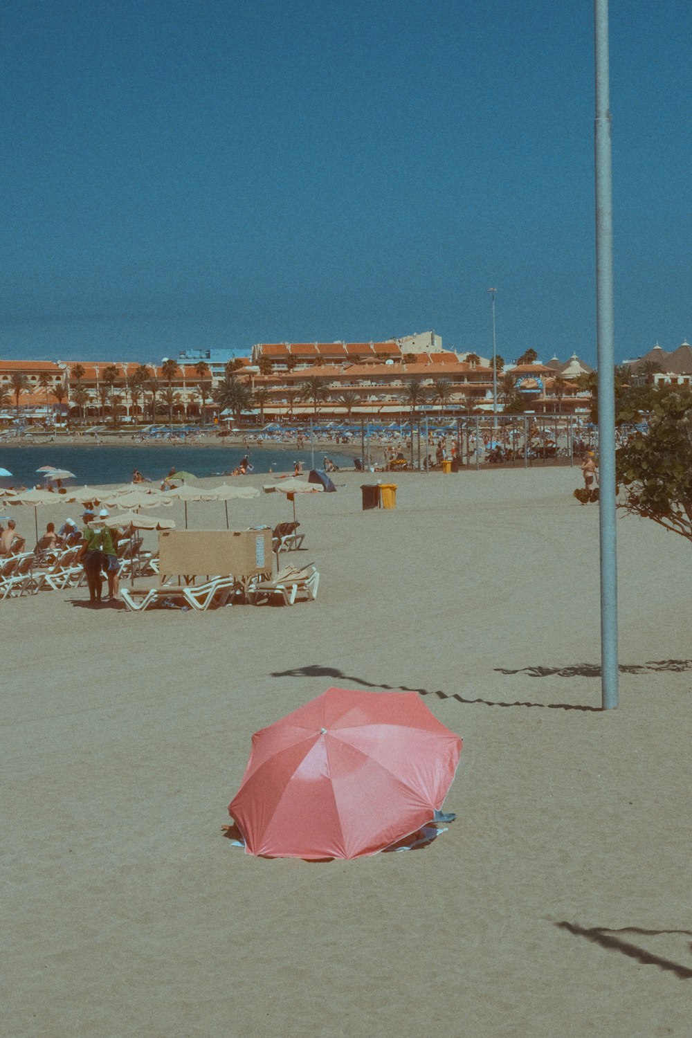a pink umbrella sitting on top of a sandy beach