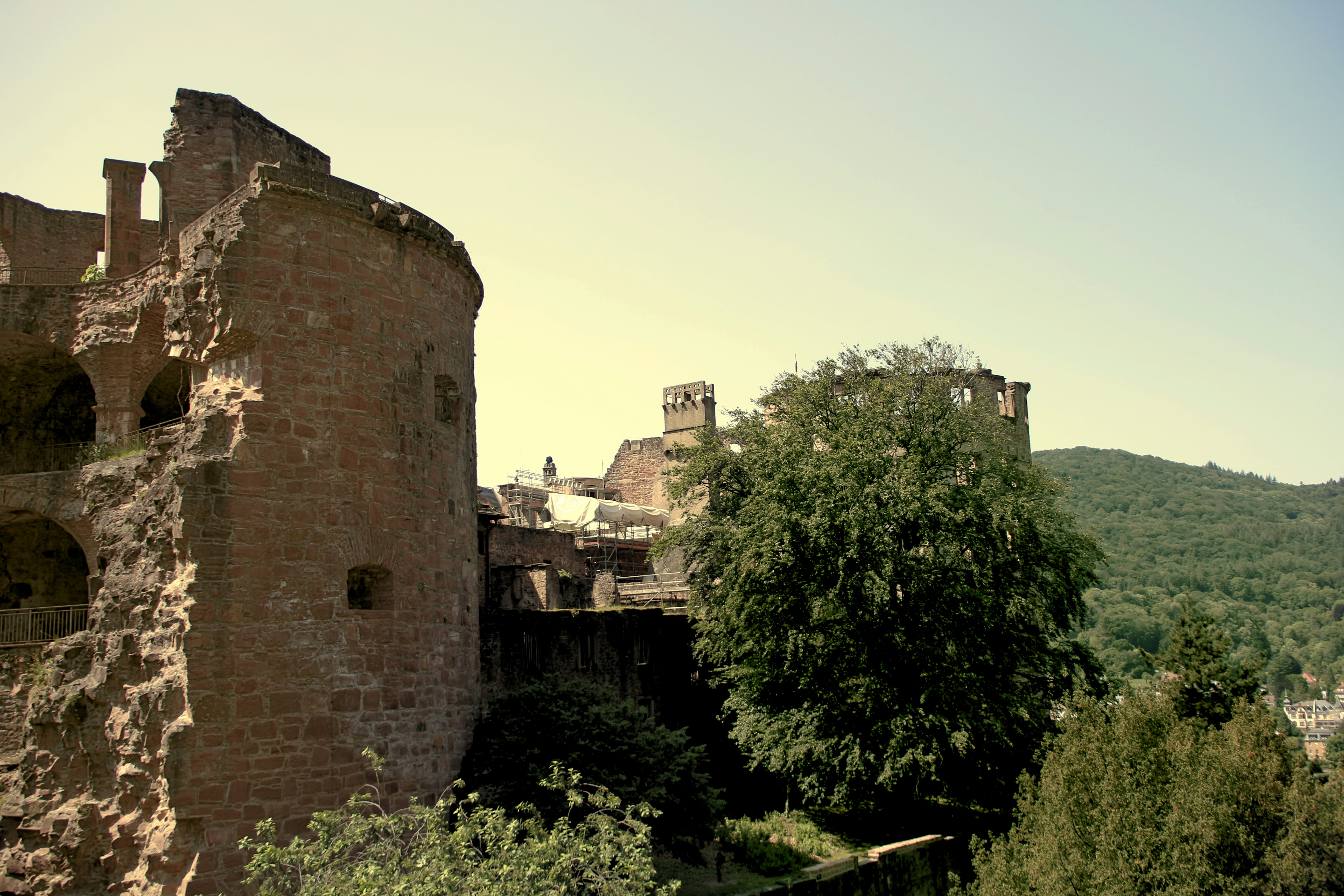 Photo by klarin_steffens