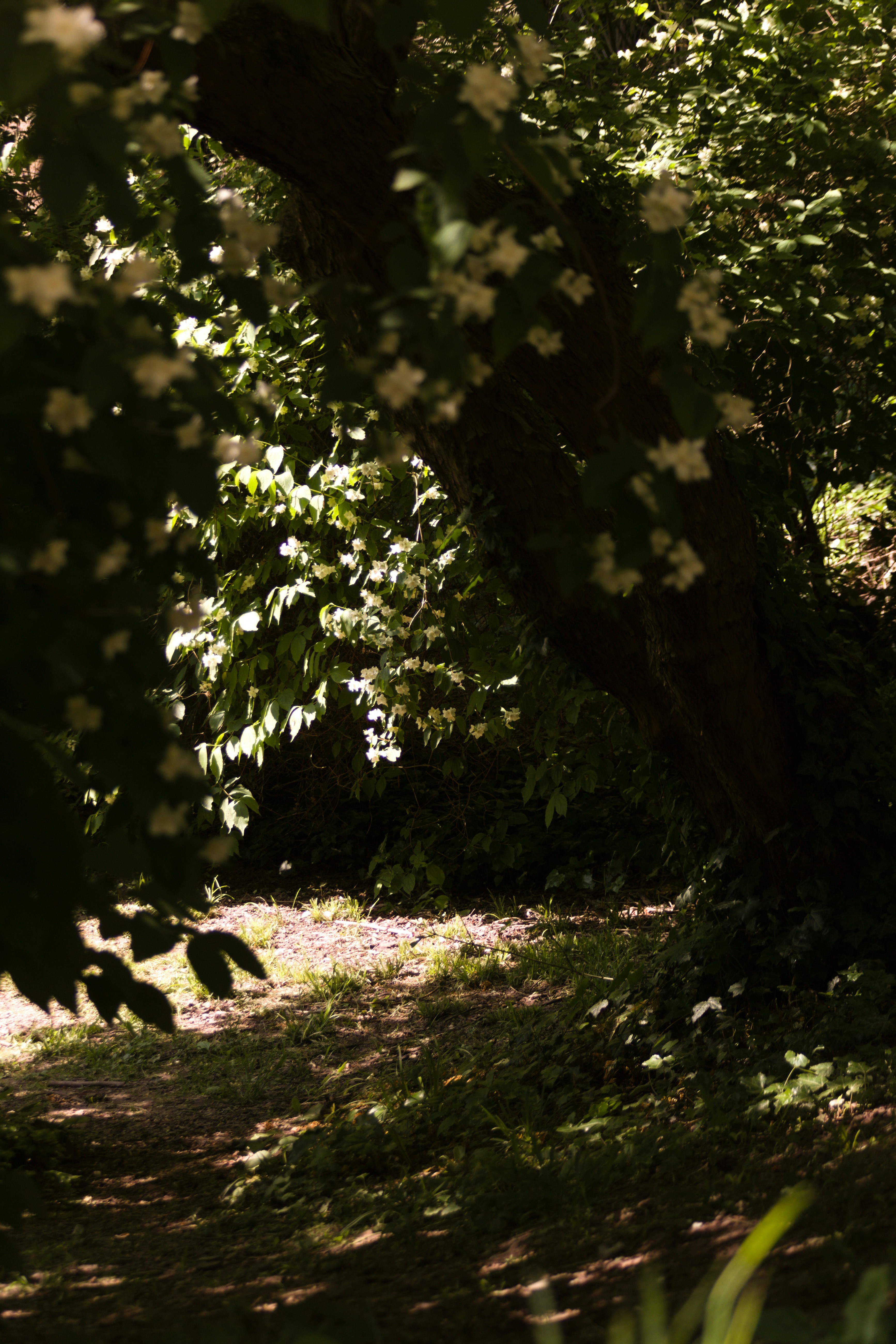 Photo by klarin_steffens