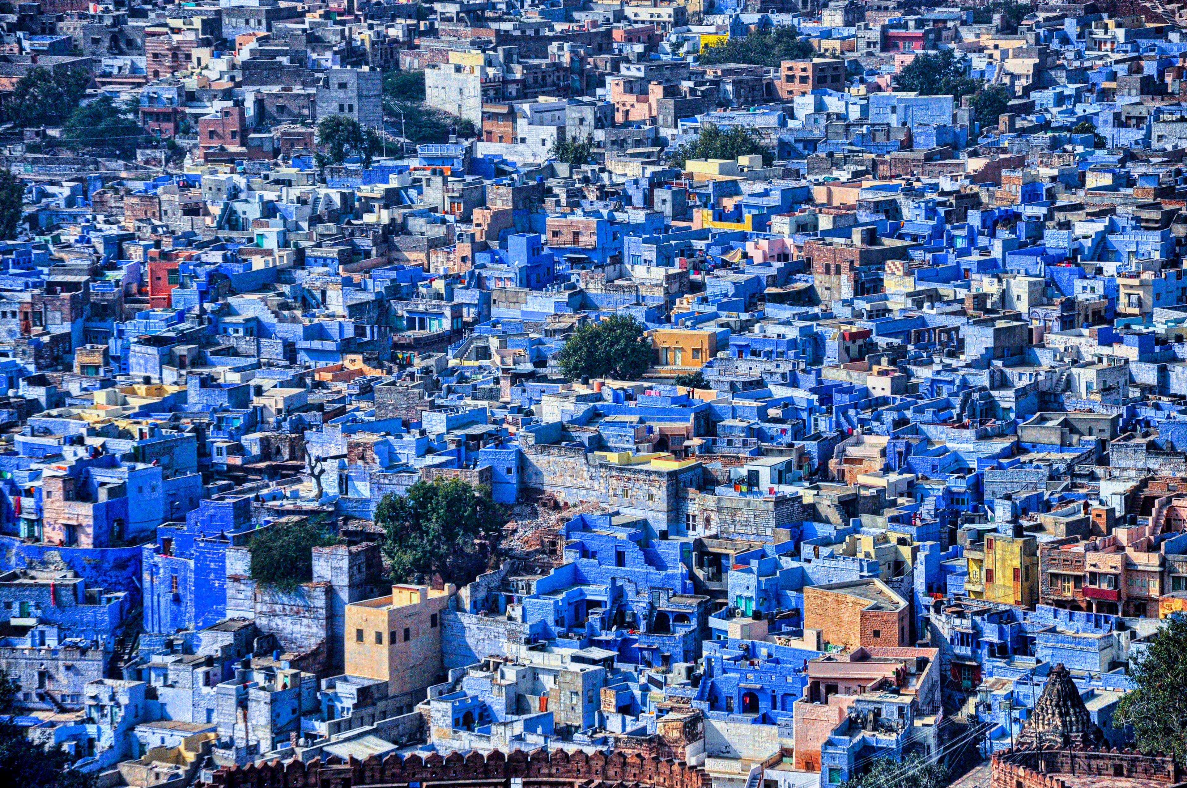 The blue houses of Jodhpur seen from above
