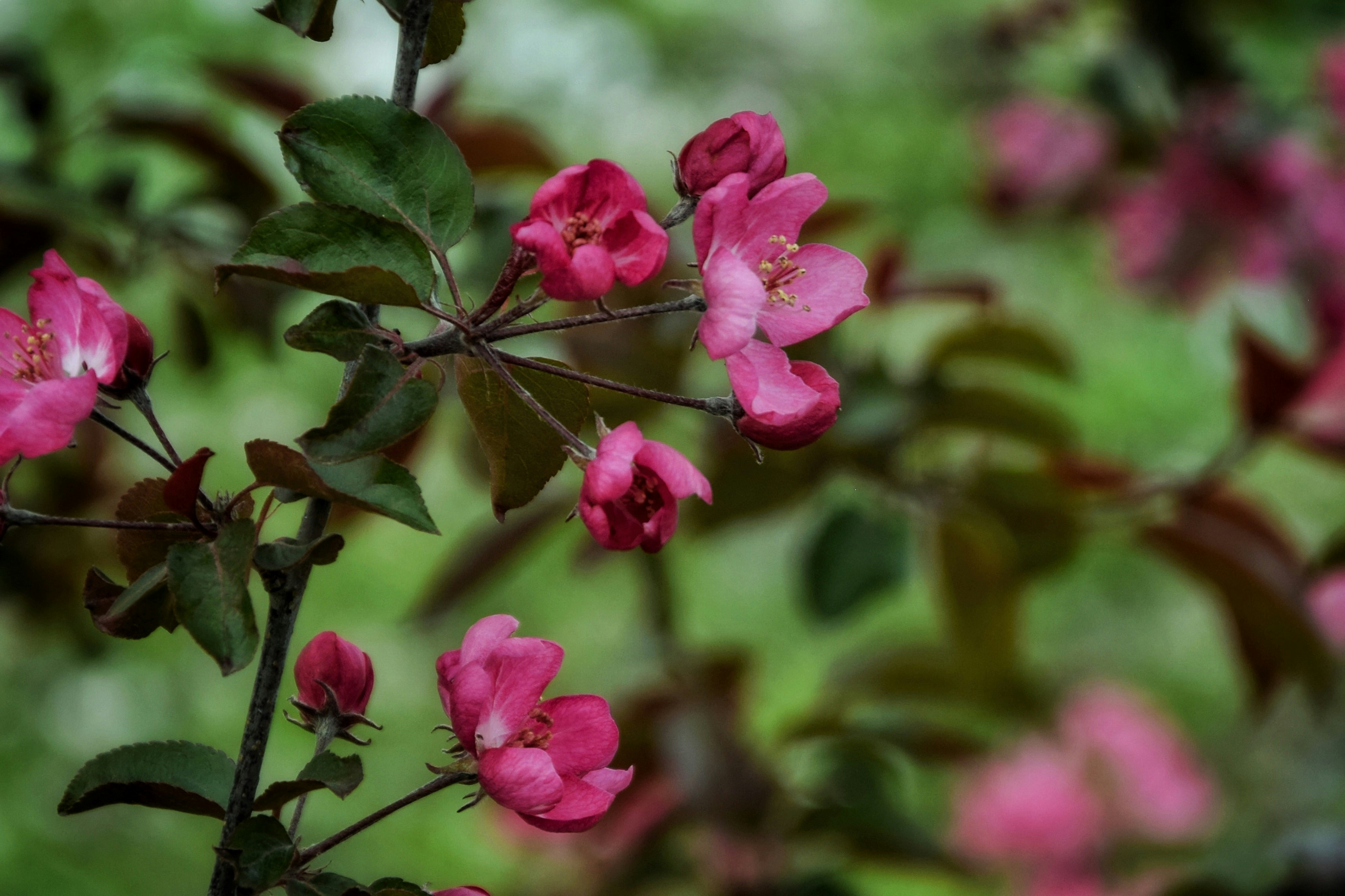 Photo by lipetskaya_zemlya