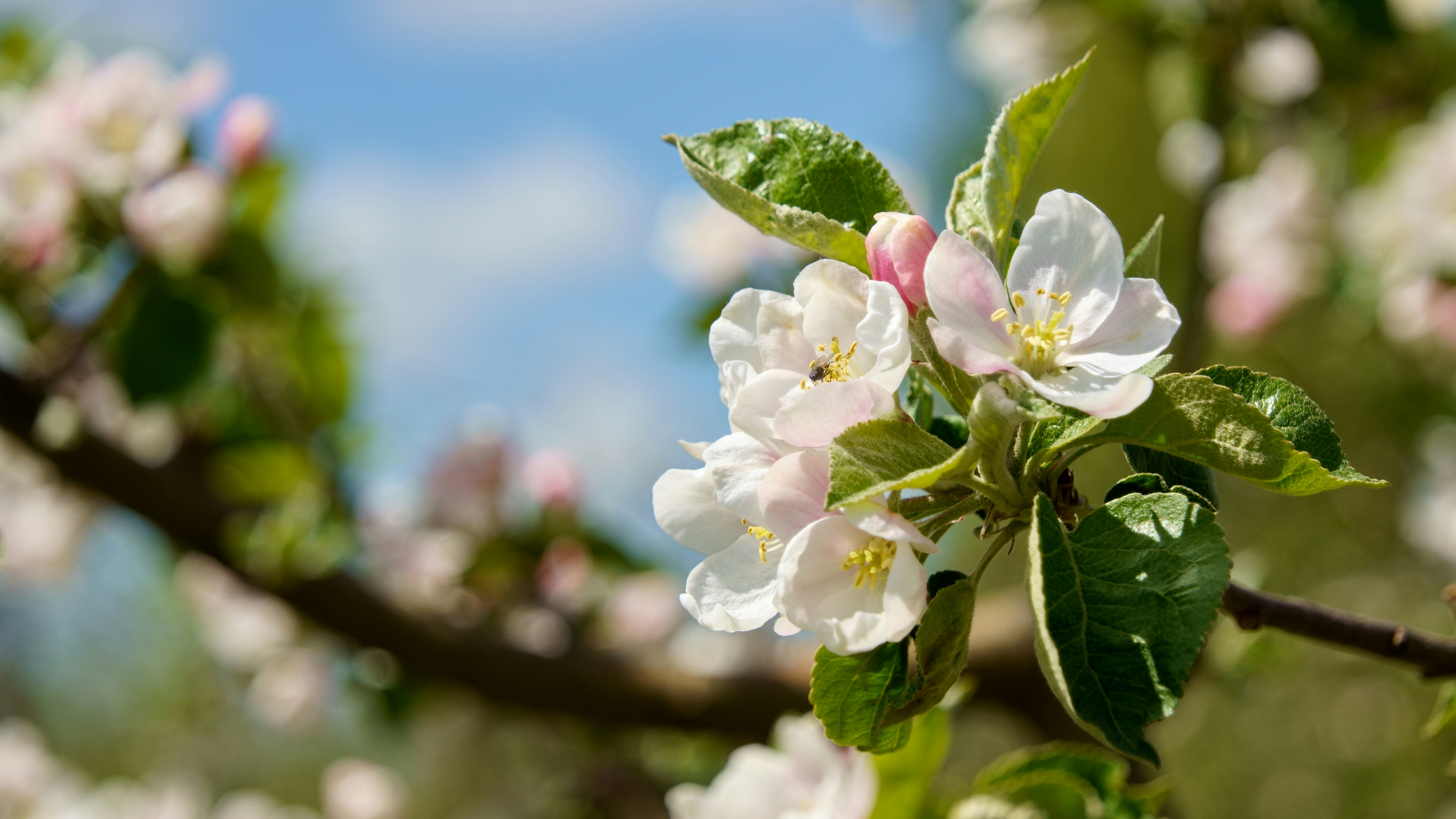 Photo by lipetskaya_zemlya