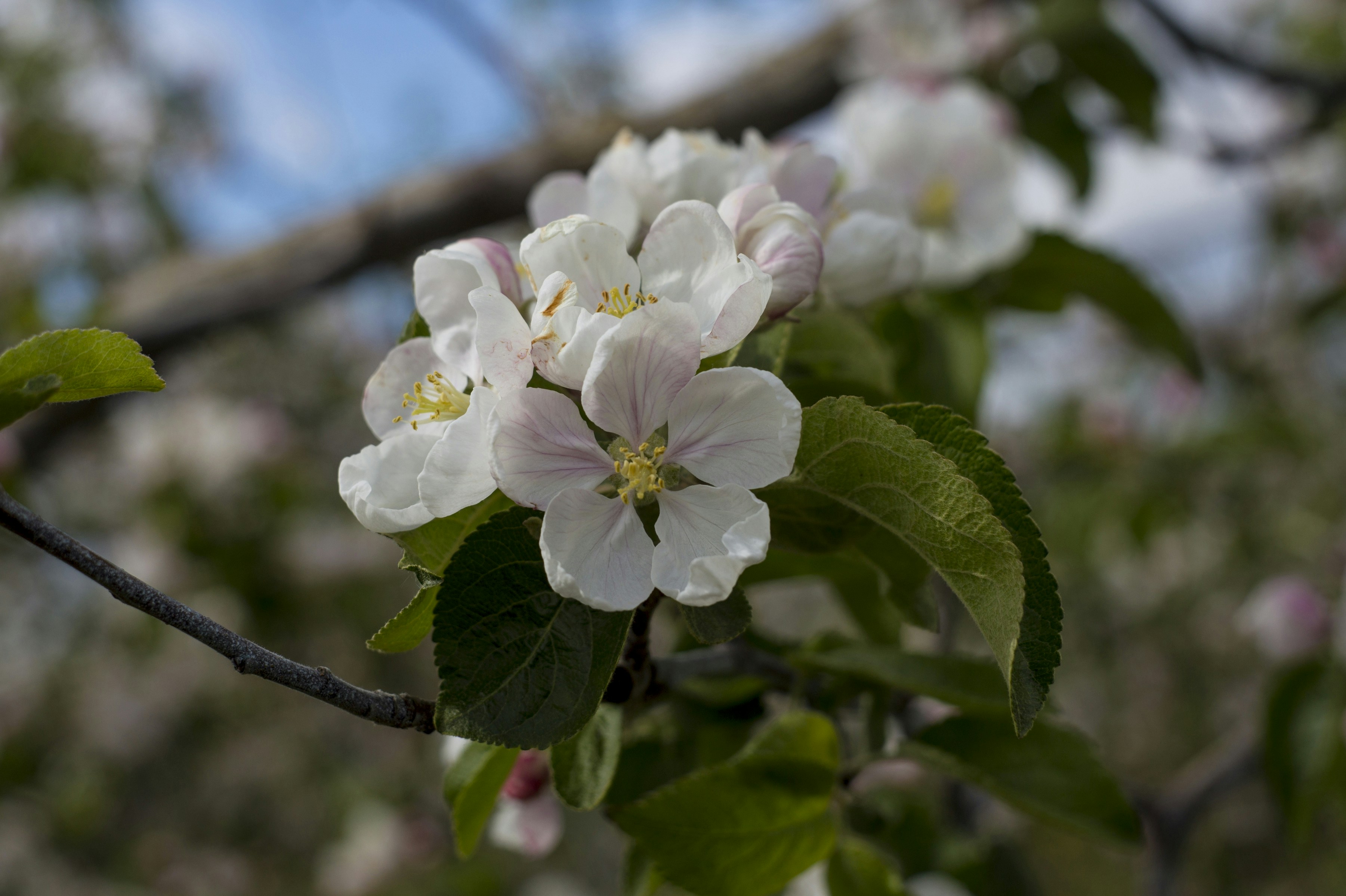 Photo by lipetskaya_zemlya