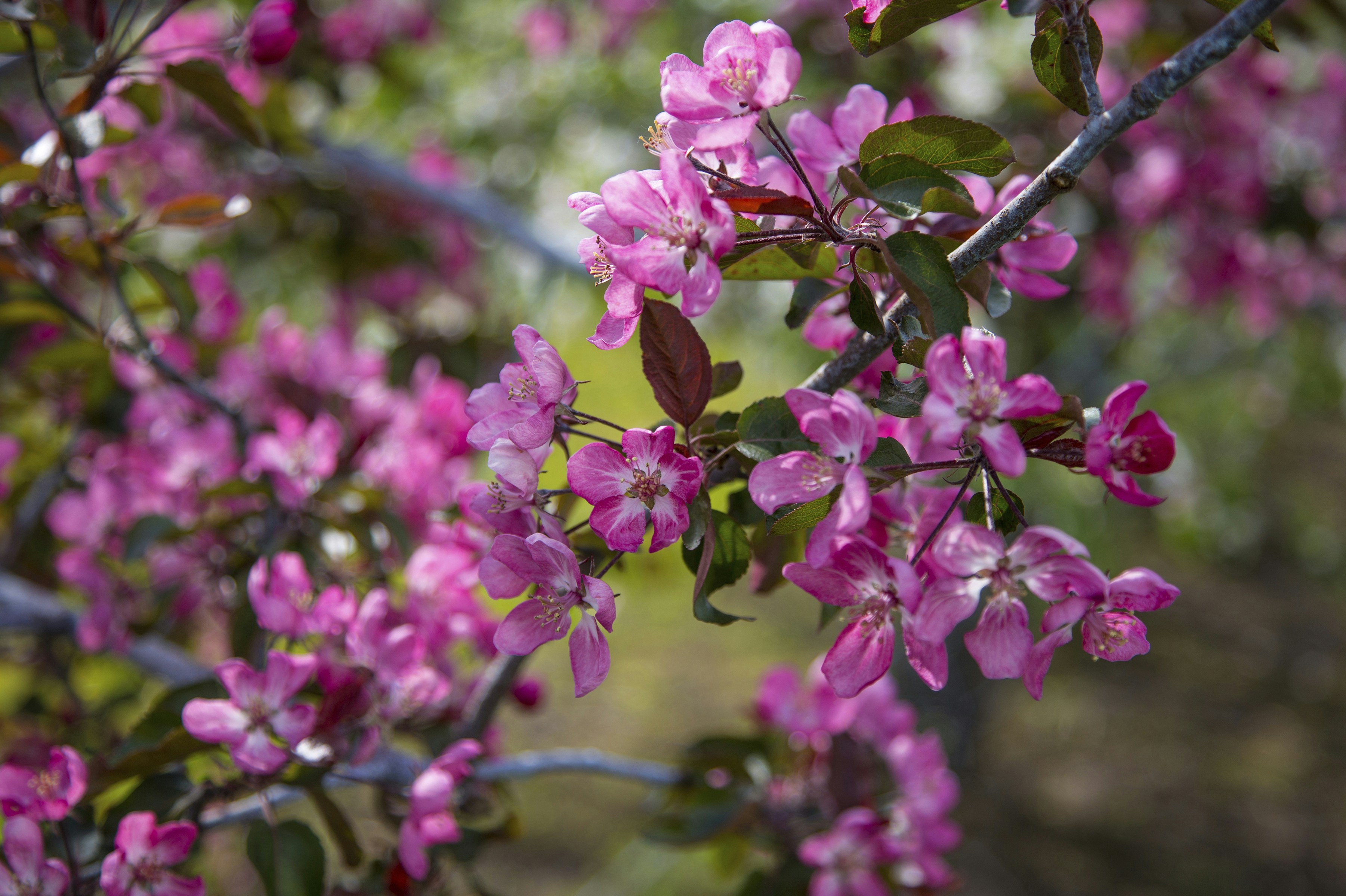 Photo by lipetskaya_zemlya