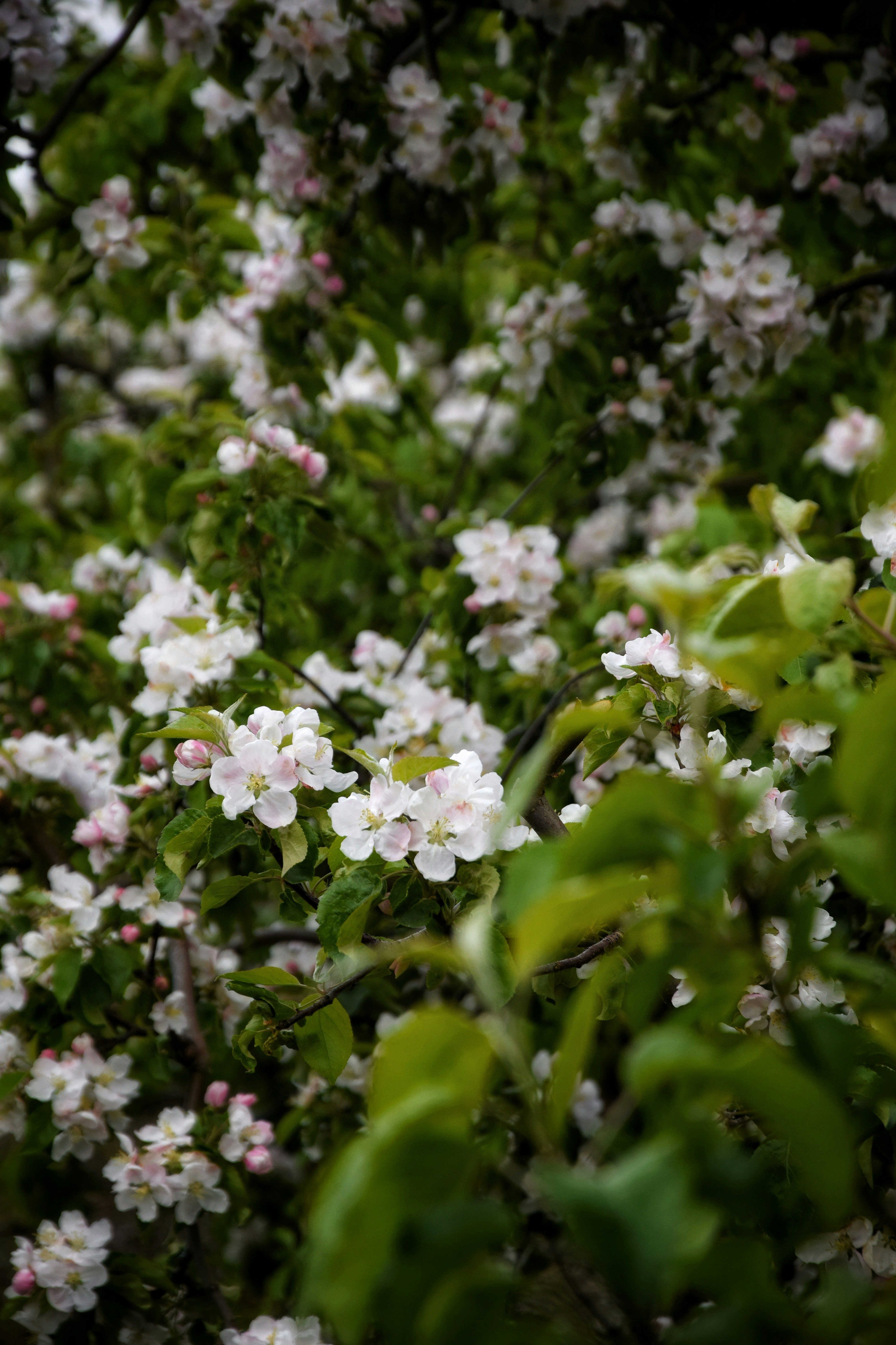 Photo by lipetskaya_zemlya