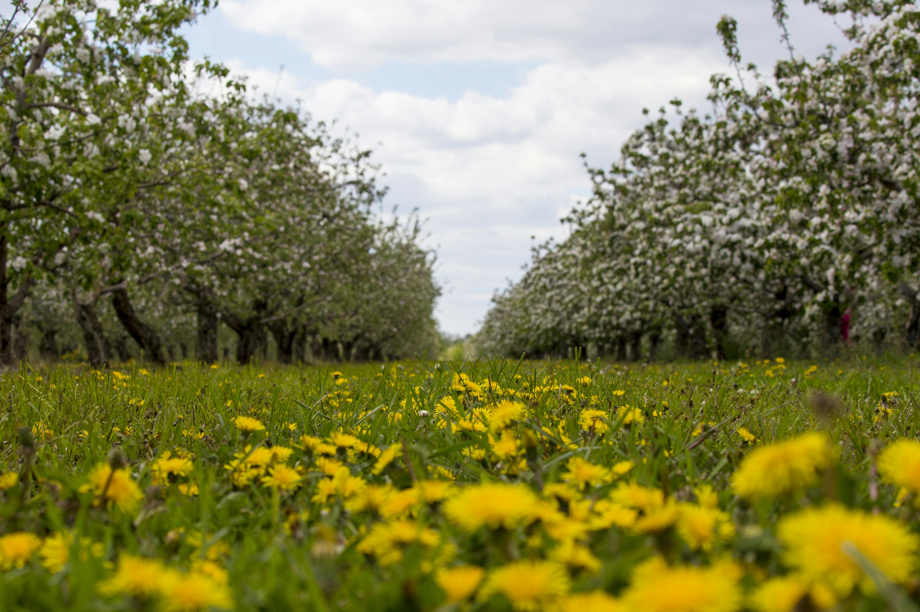 Photo by lipetskaya_zemlya