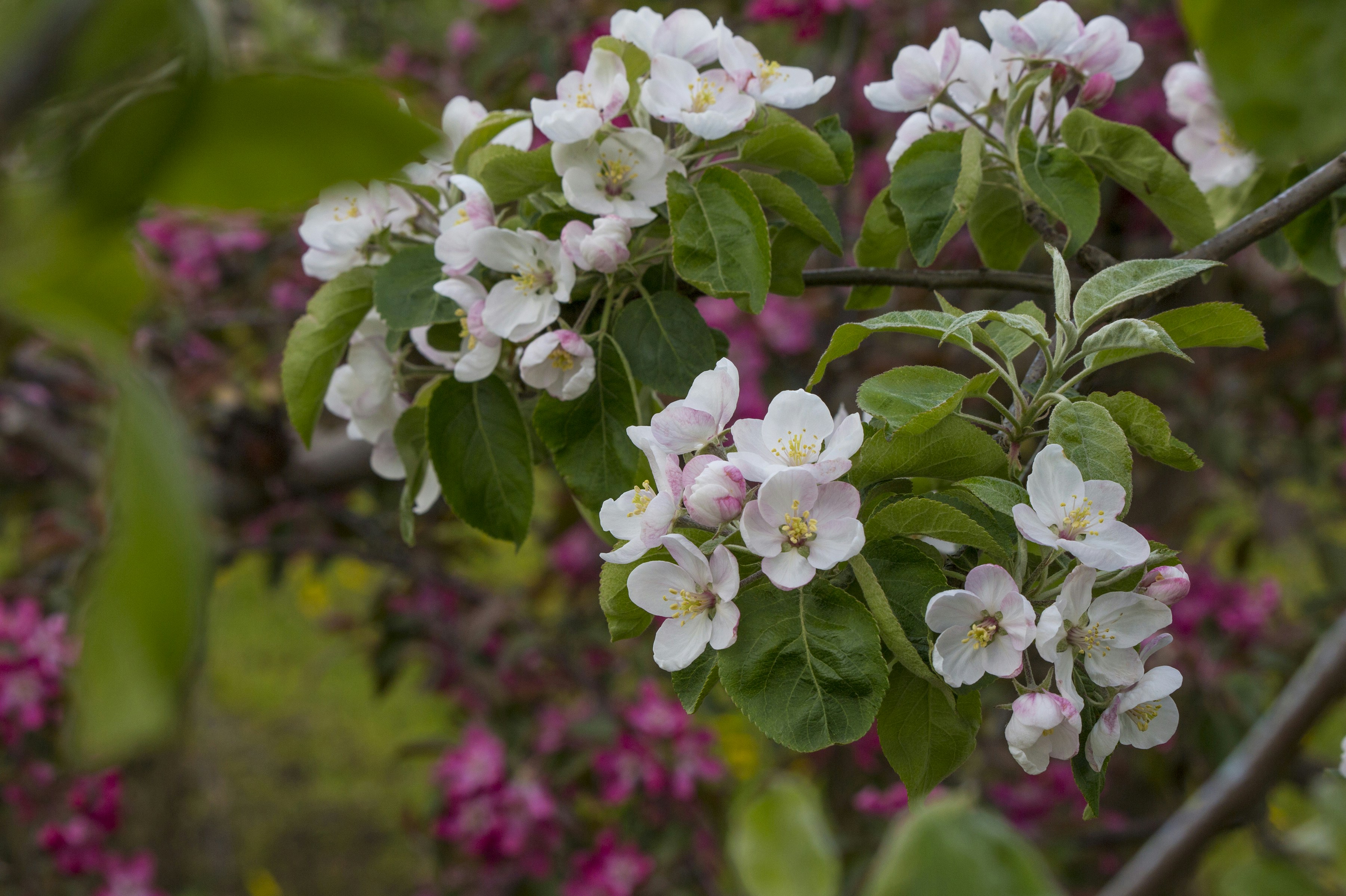 Photo by lipetskaya_zemlya