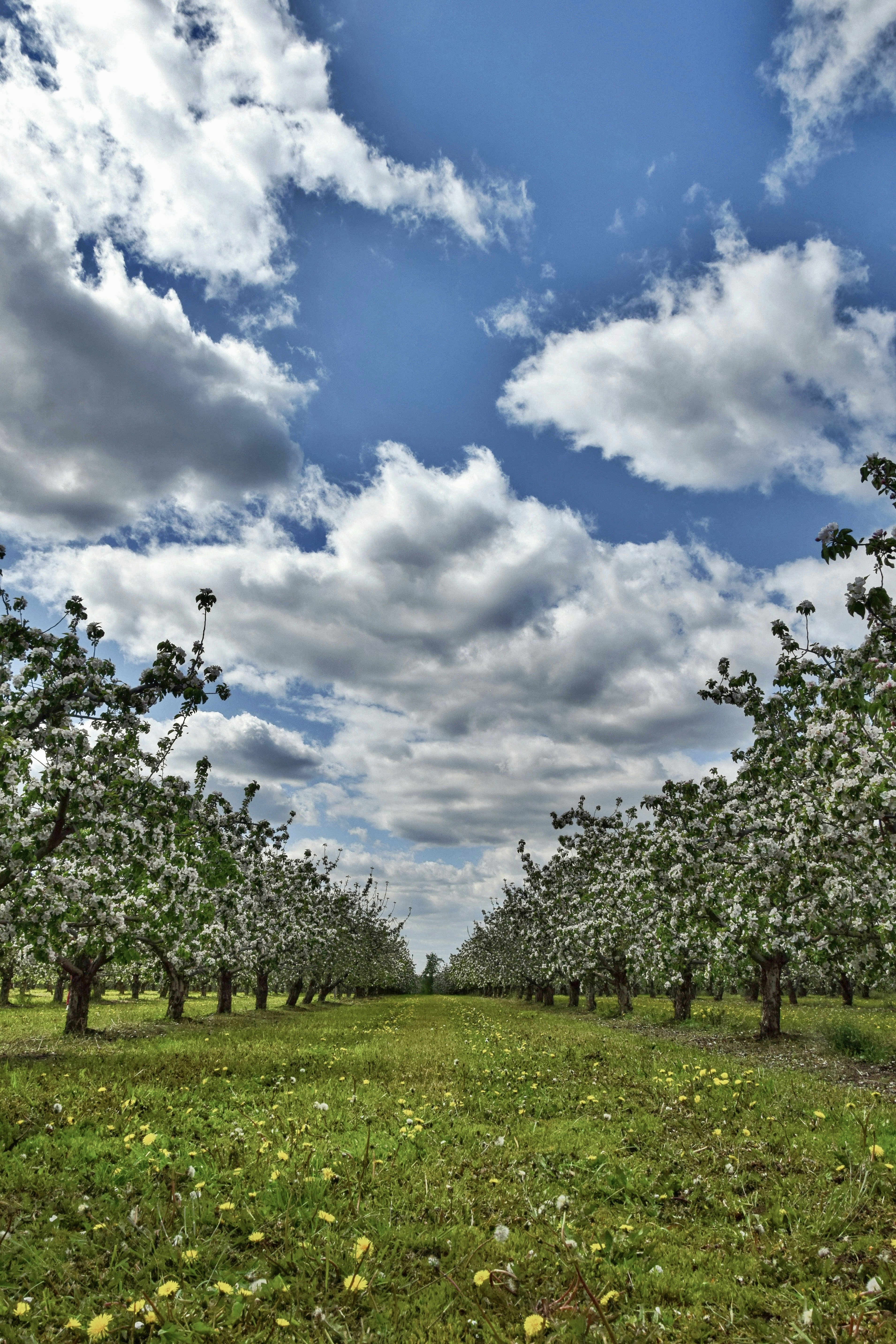 Port Orchard, Washington