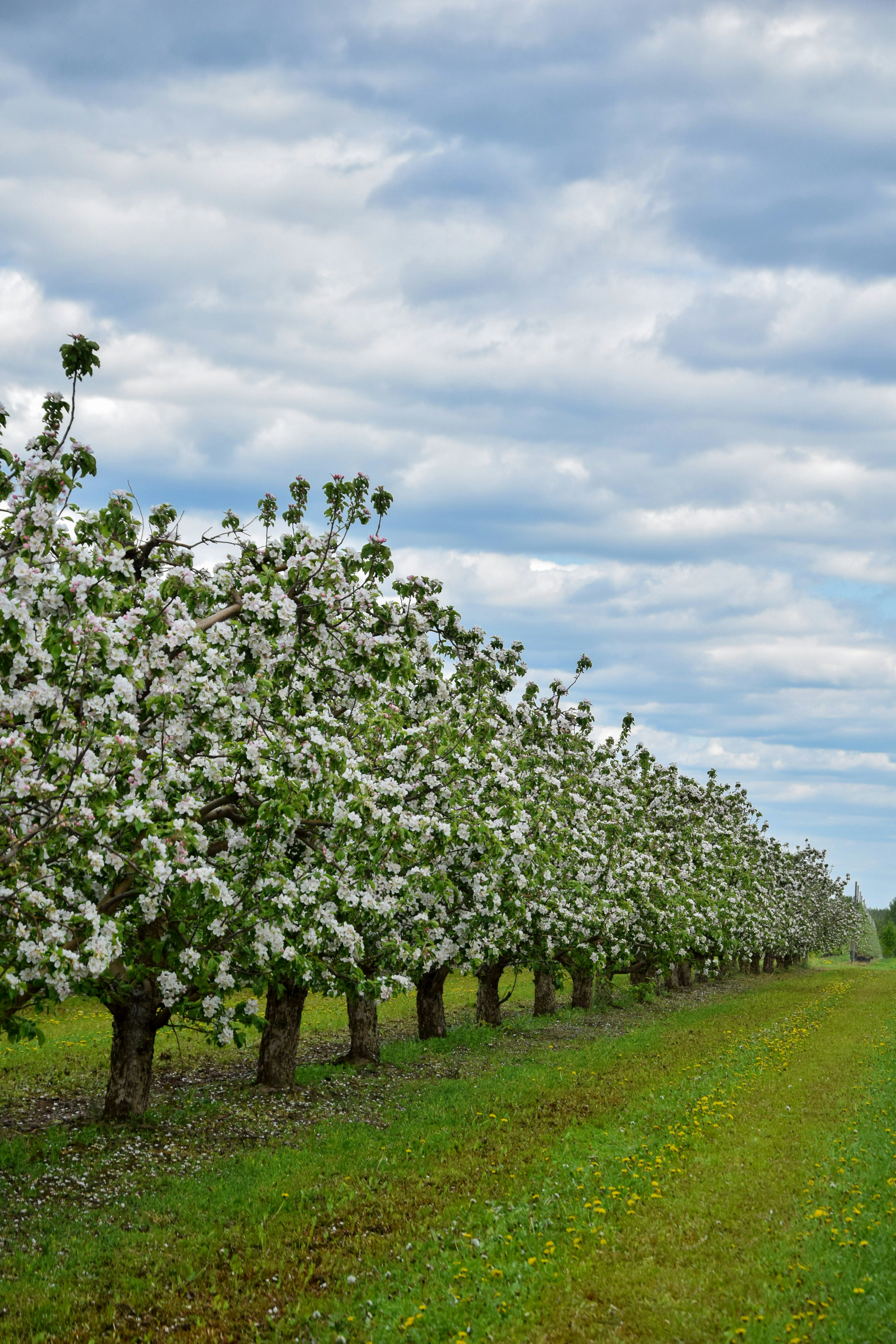 Photo by lipetskaya_zemlya