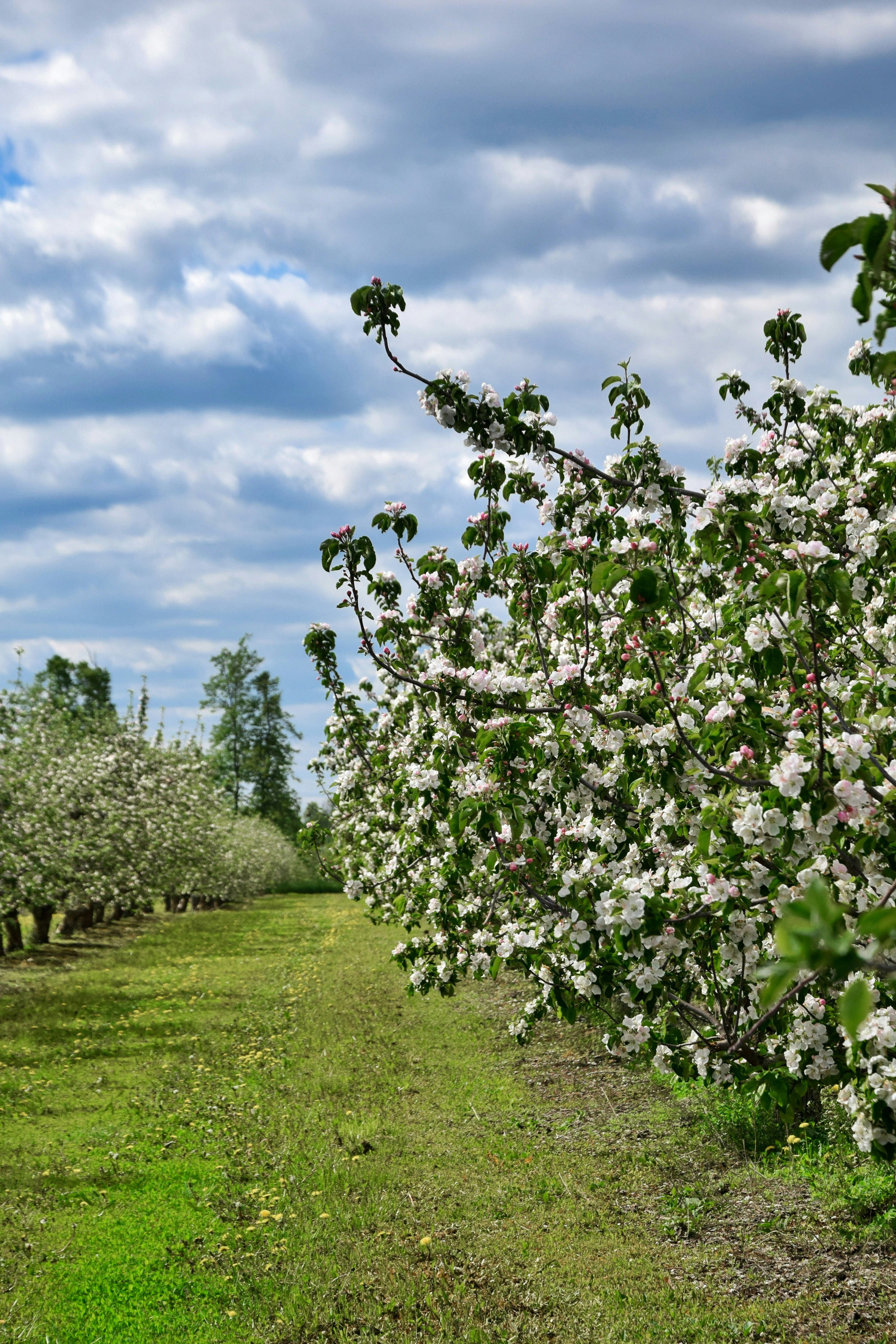 Photo by lipetskaya_zemlya