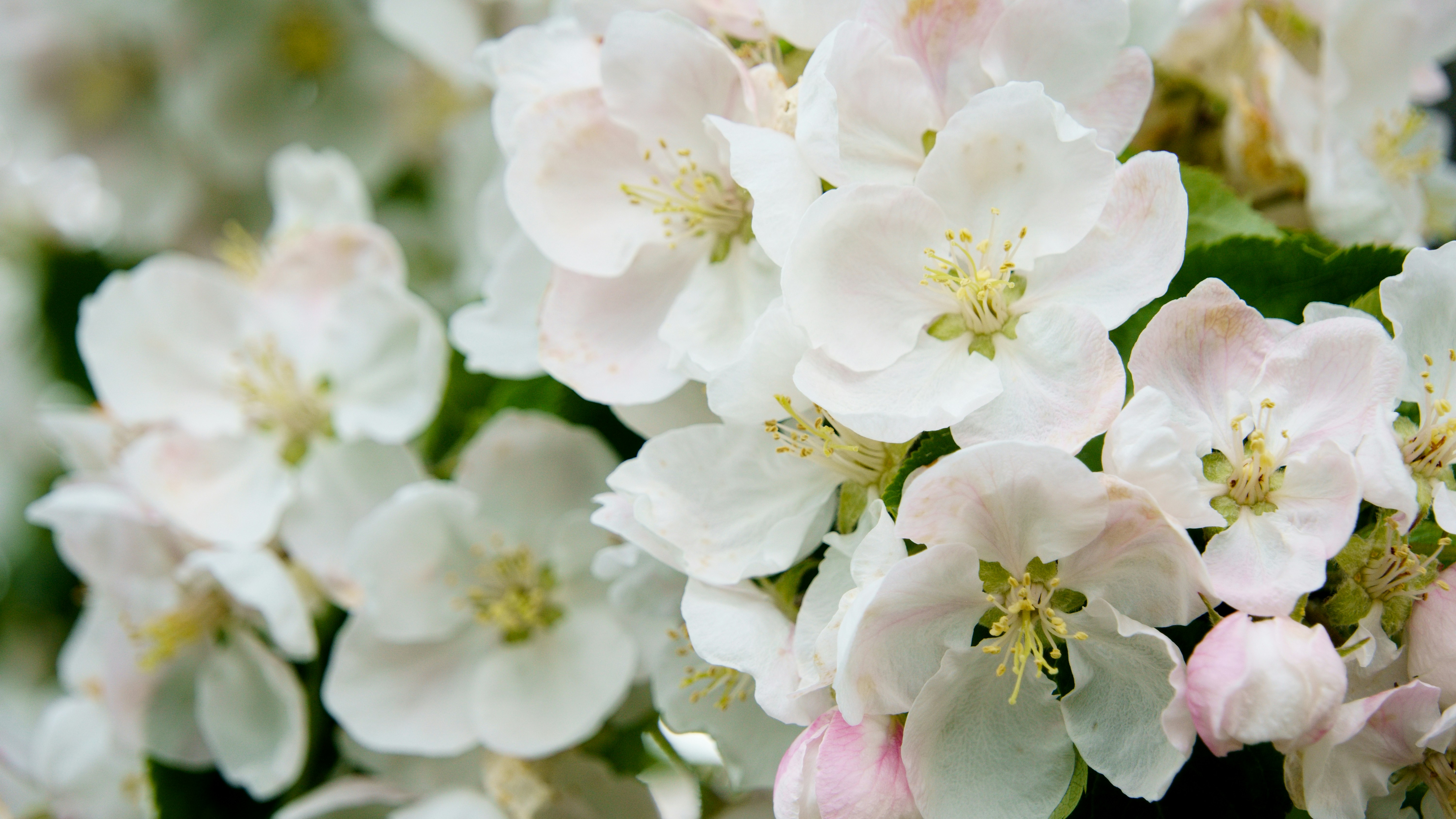 Photo by lipetskaya_zemlya