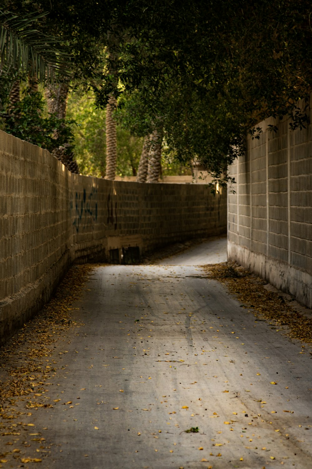 a street with a brick wall and trees on both sides