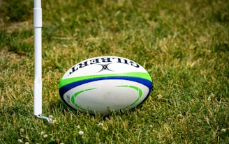a rugby ball sitting on top of a lush green field