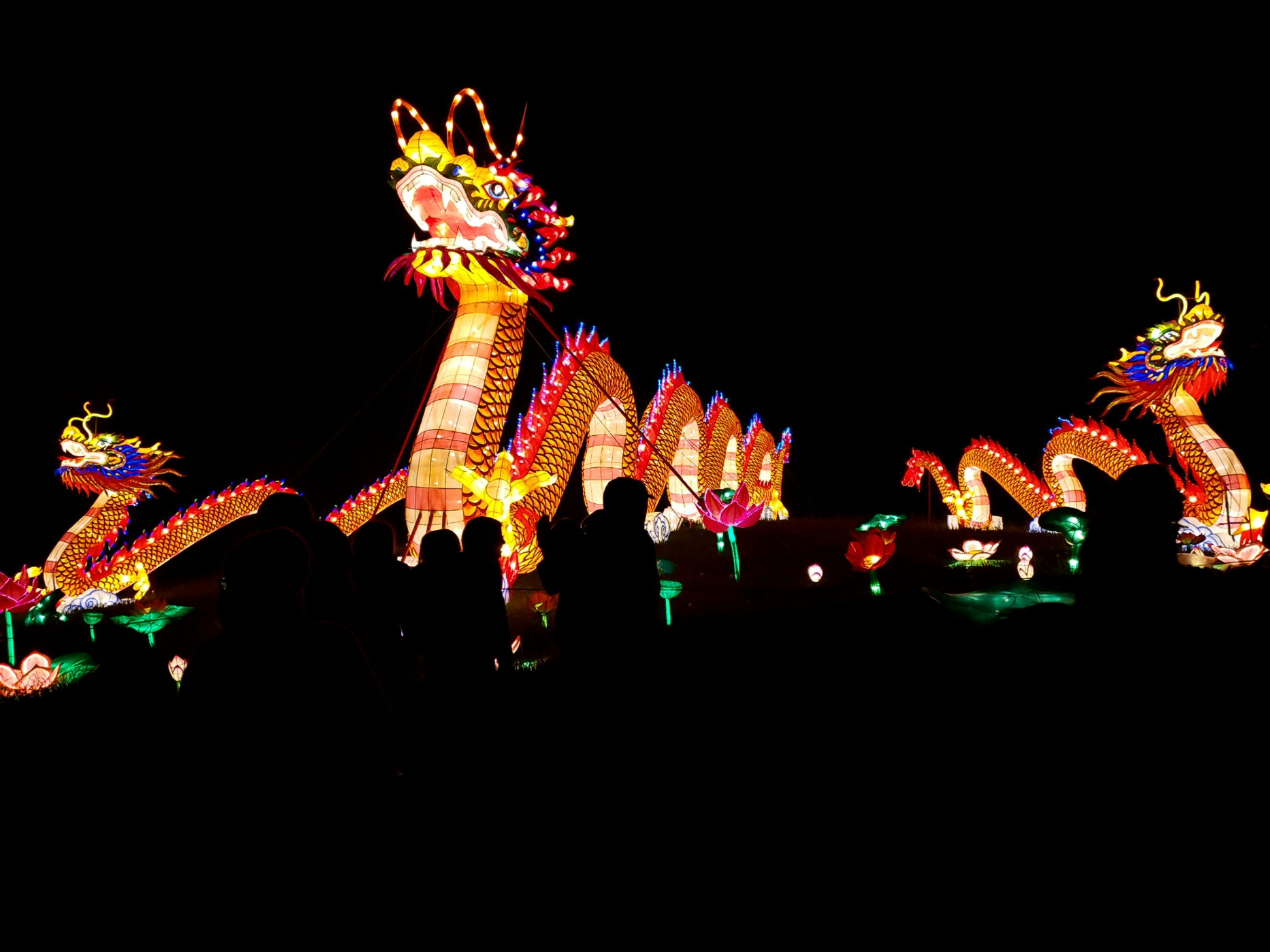 a group of people standing in front of a lit up dragon