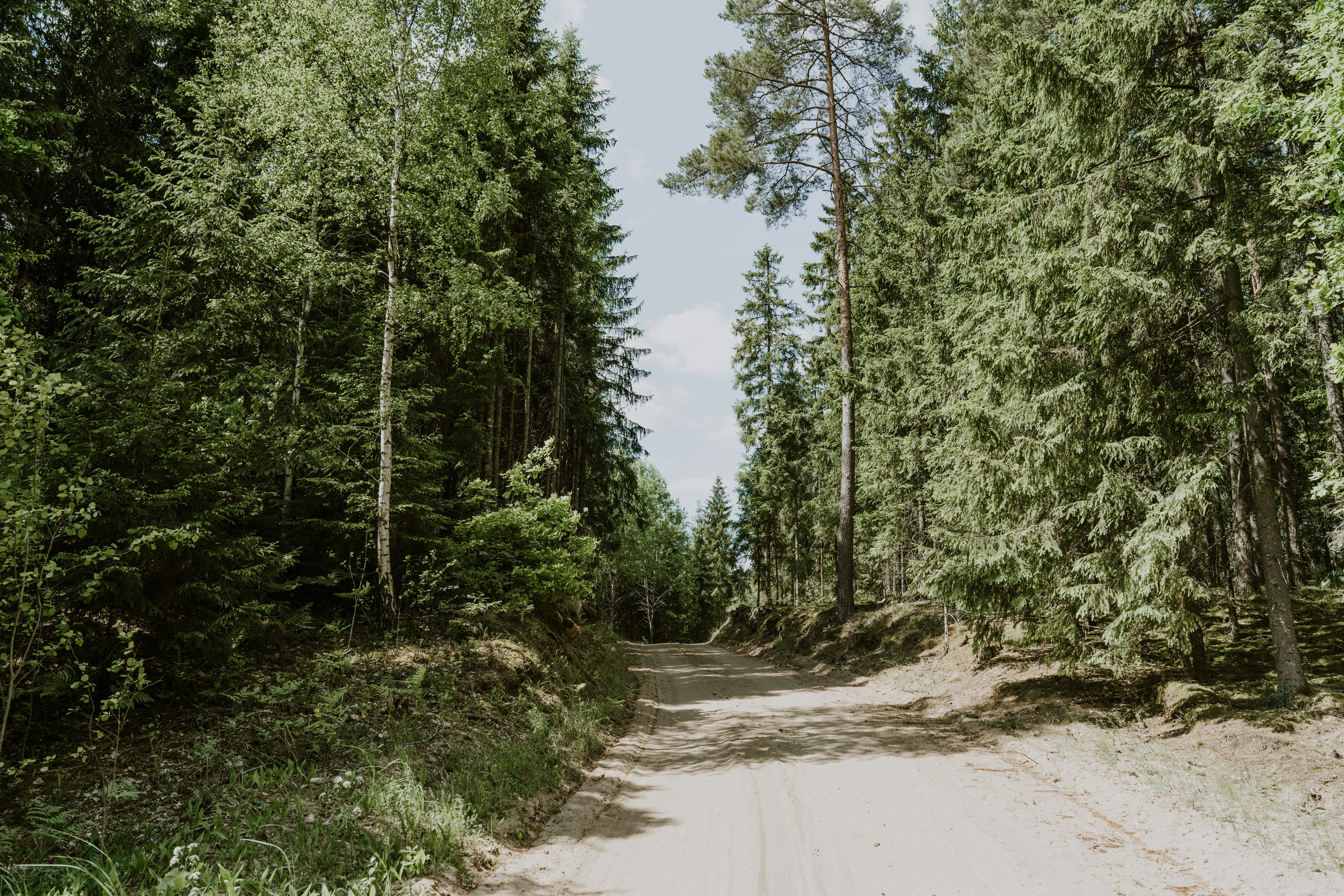 Photo by anitaaustvika