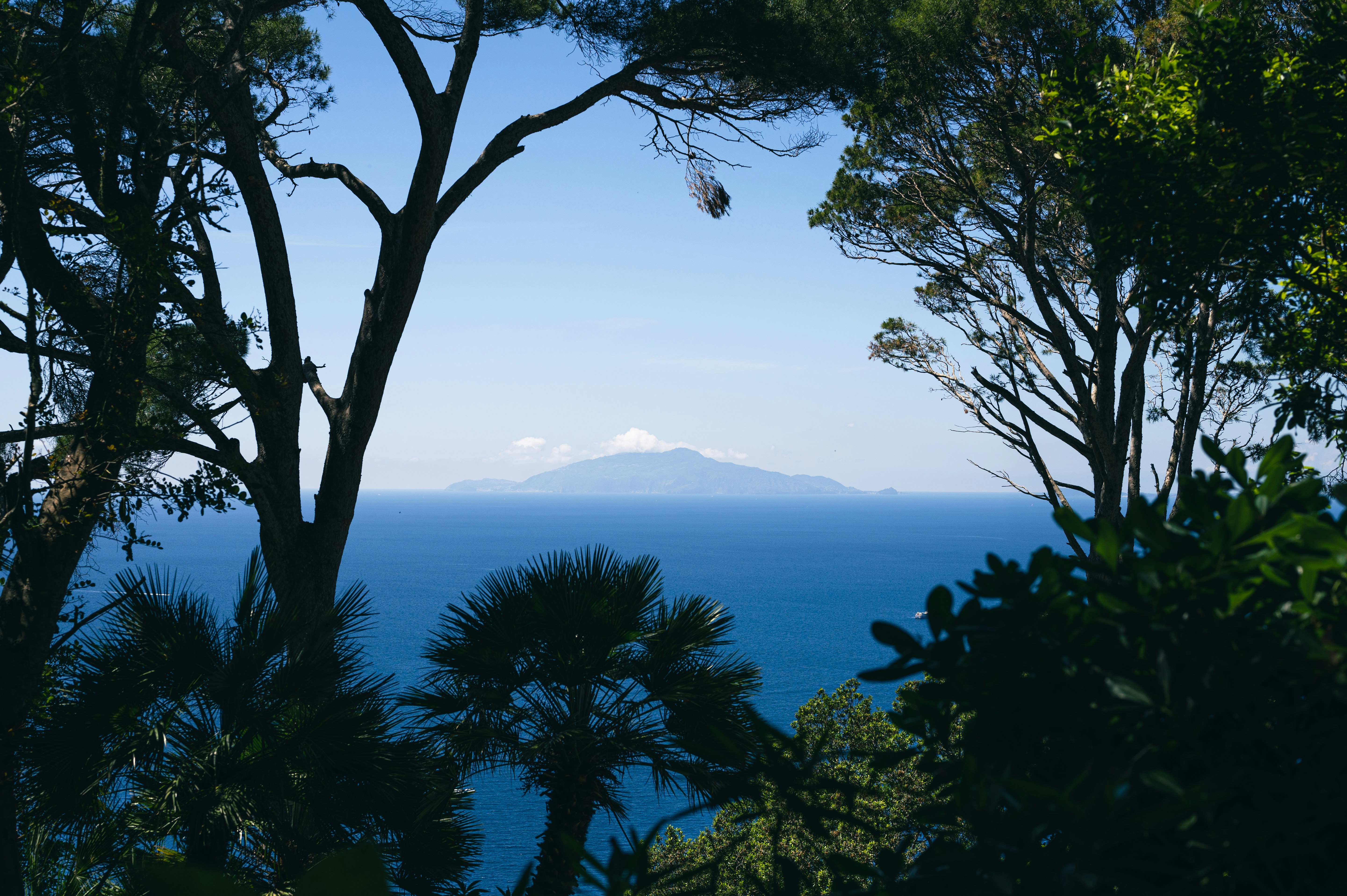 Photo by istvanszitas