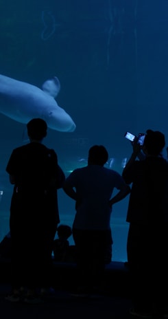 A family watching whales from the shore, capturing memories with their camera.