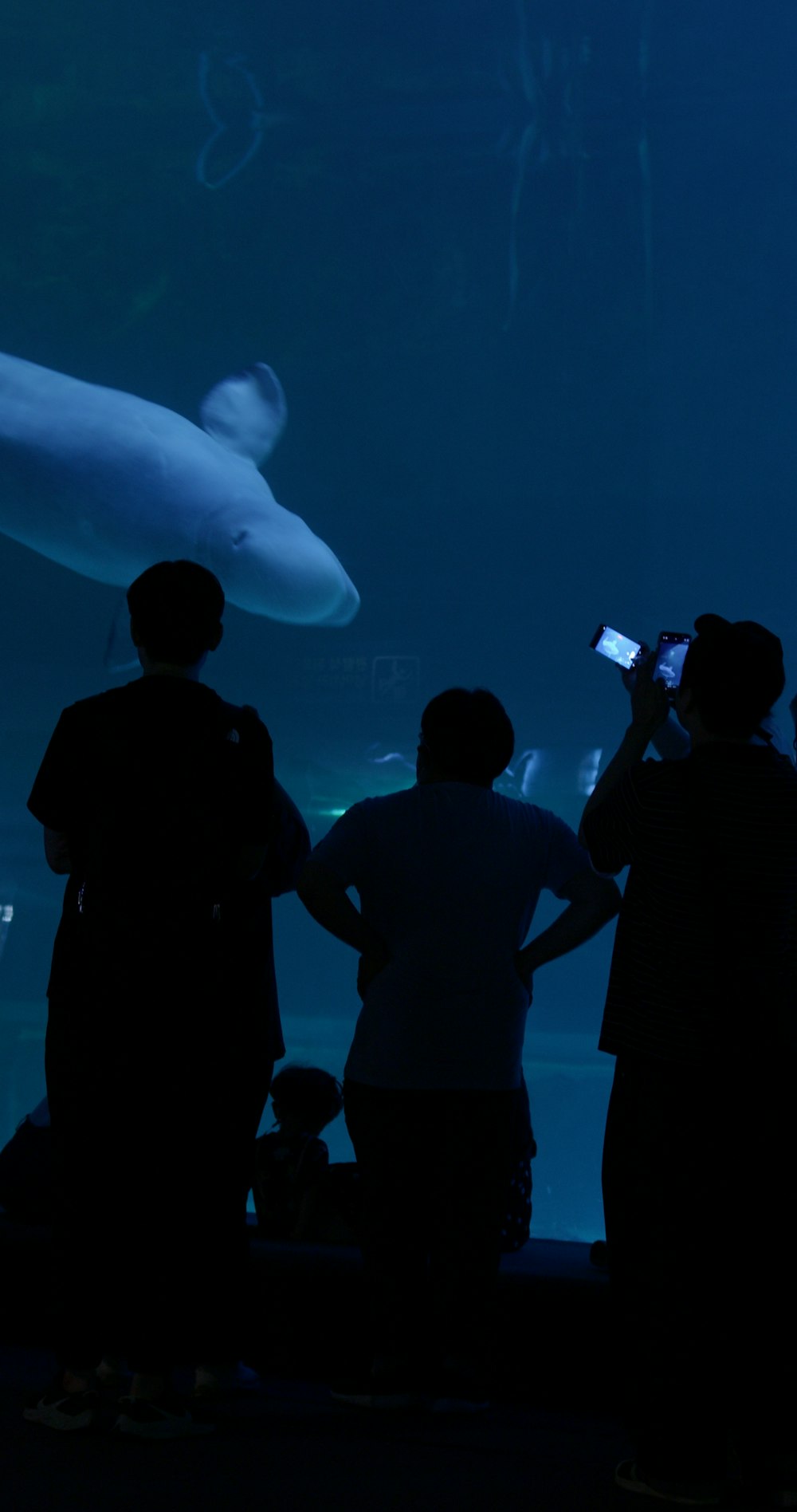 a group of people standing in front of a fish tank