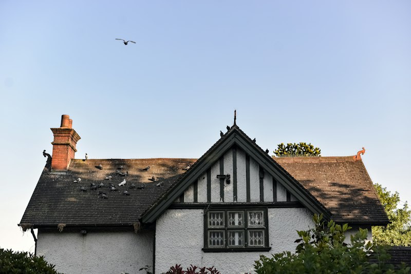 Hail Damage Roof Inspection in Florissant, MO: What Homeowners Need to Know
