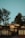 A series of modern, wooden cabins are nestled on a wooded hillside under a clear blue sky. Tall trees frame the scene, adding a natural backdrop to the structures, which feature large windows and glass panels. The warm sunlight casts gentle shadows, enhancing the serene atmosphere.