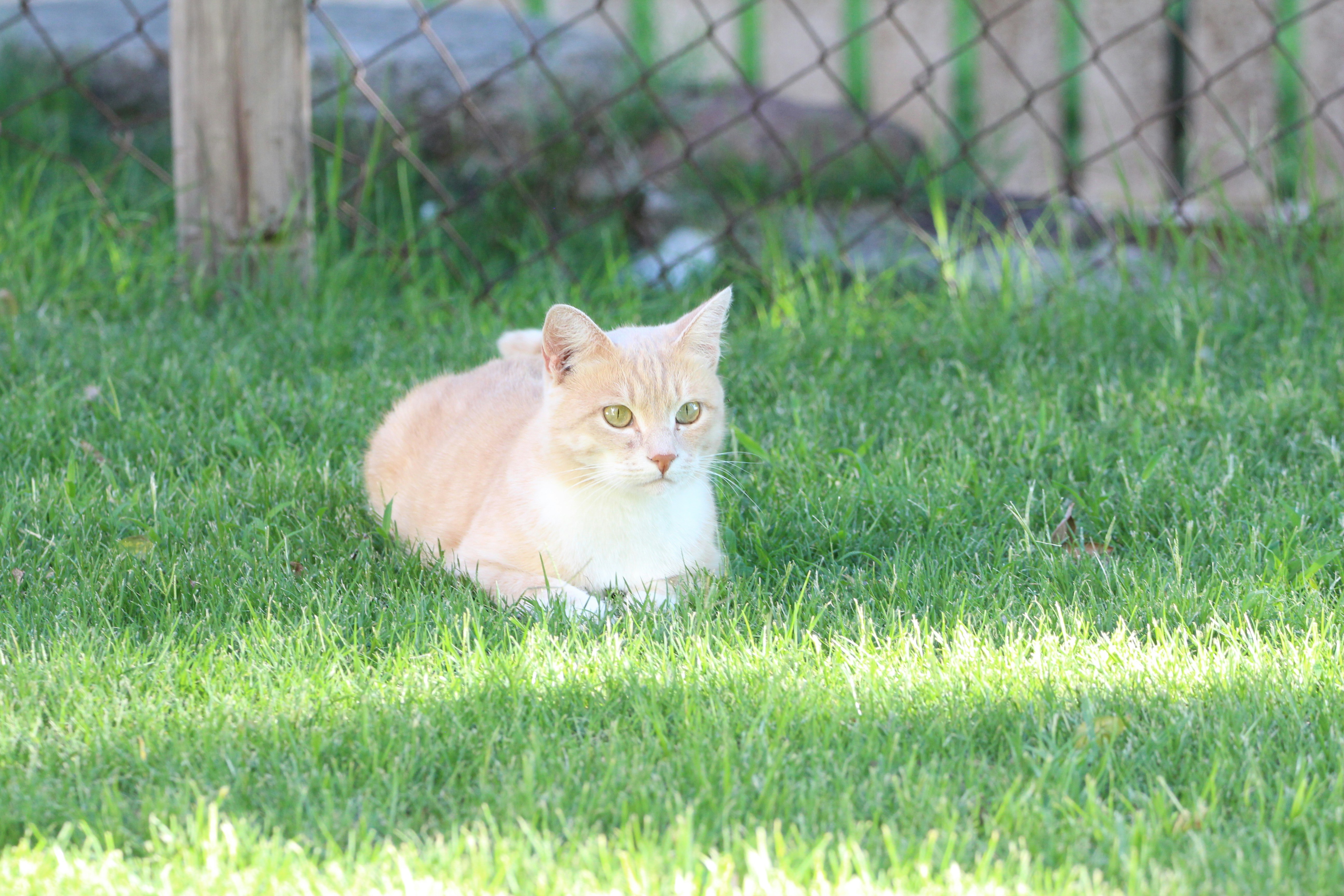 Photo by juantelle_louw_photography