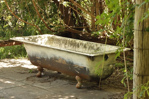 An old, rusted bathtub is situated outdoors on a stone pathway surrounded by lush green foliage and trees. Sunlight filters through the leaves, casting dappled shadows on the bathtub and the ground.