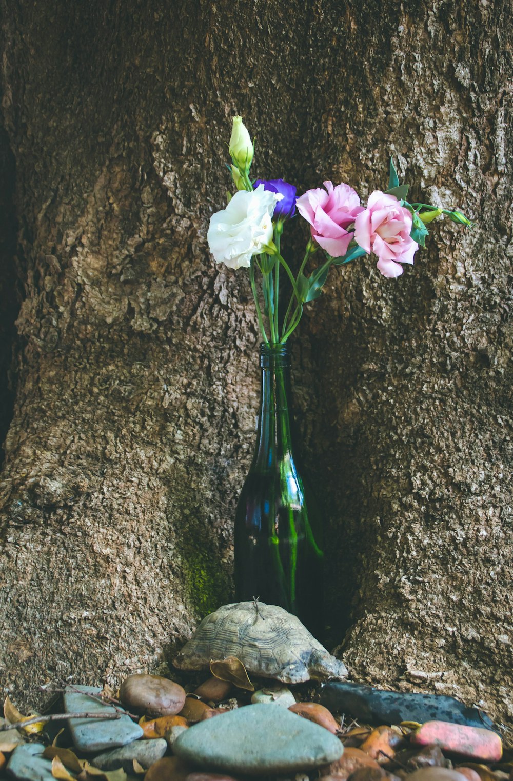 a vase of flowers sitting on a rock next to a tree