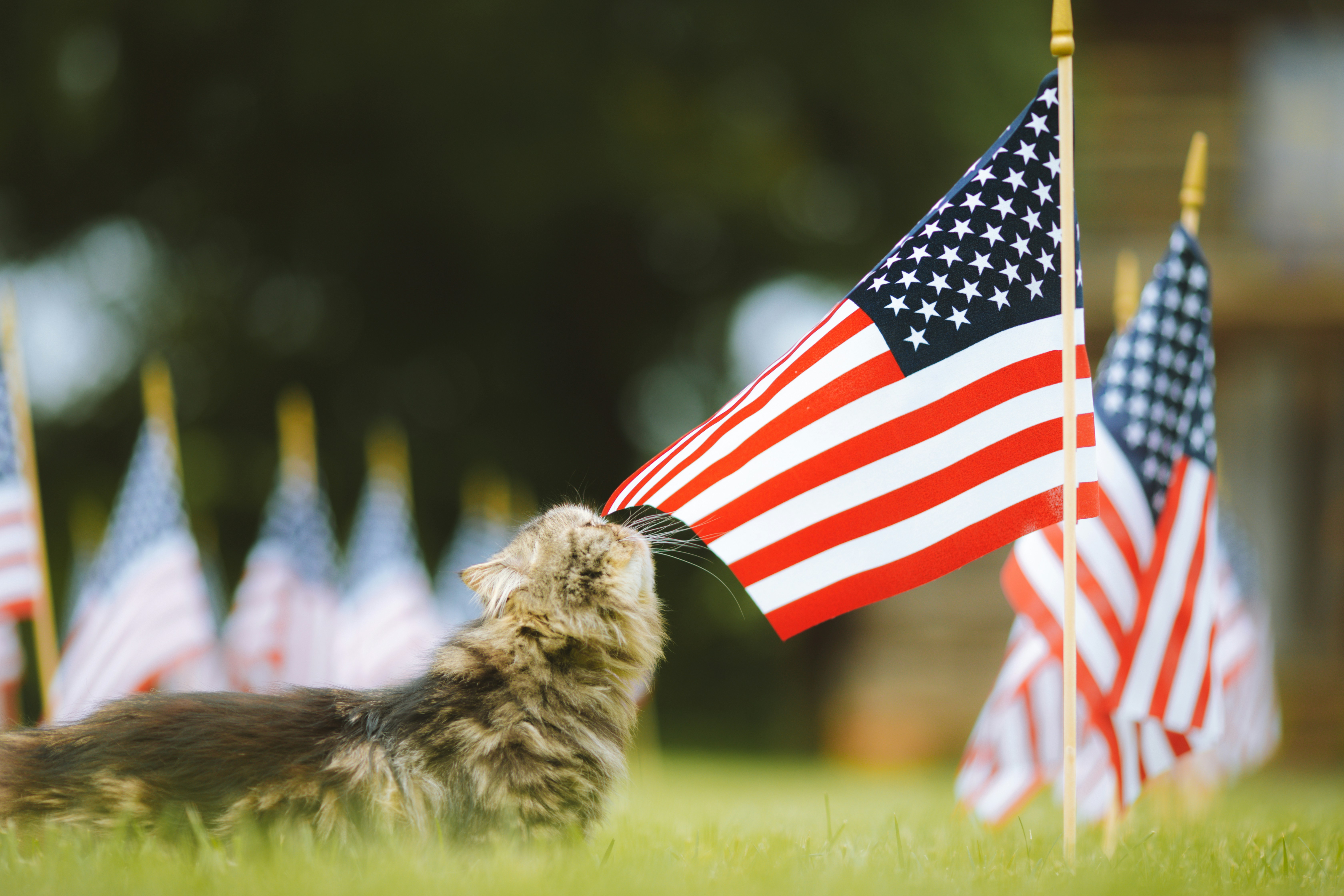 JULY 2025 | CALENDAR OF EVENTS