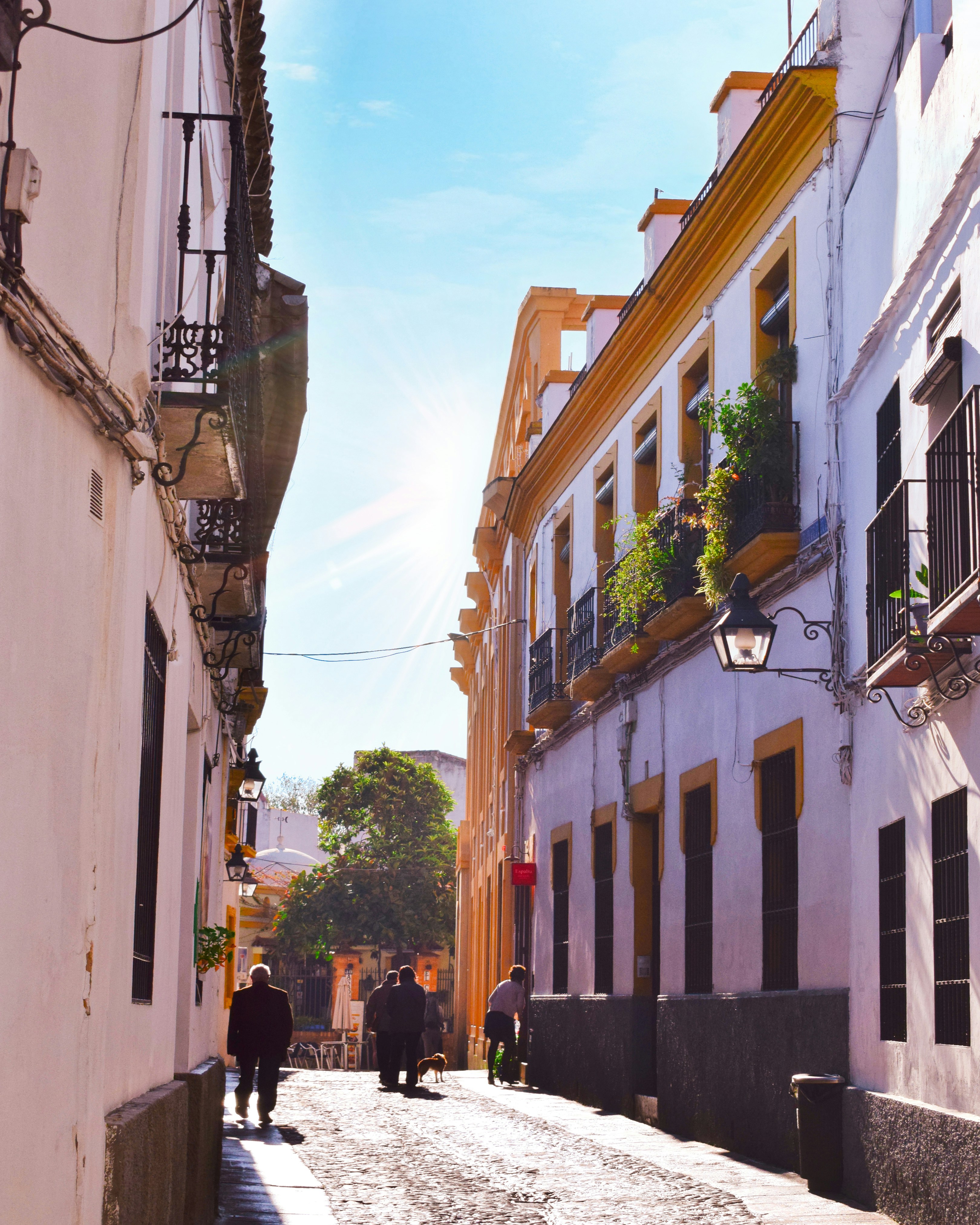 Photo by postcardbymina