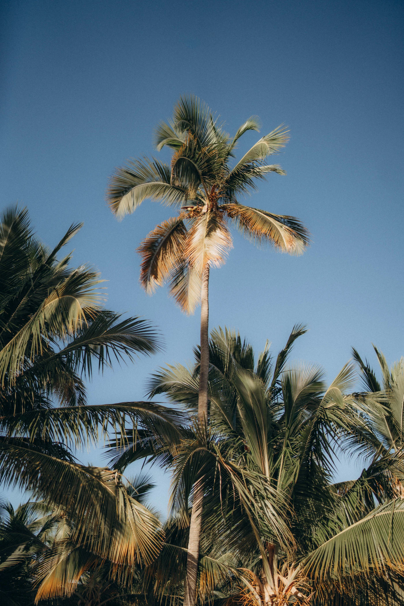 Punta Cana