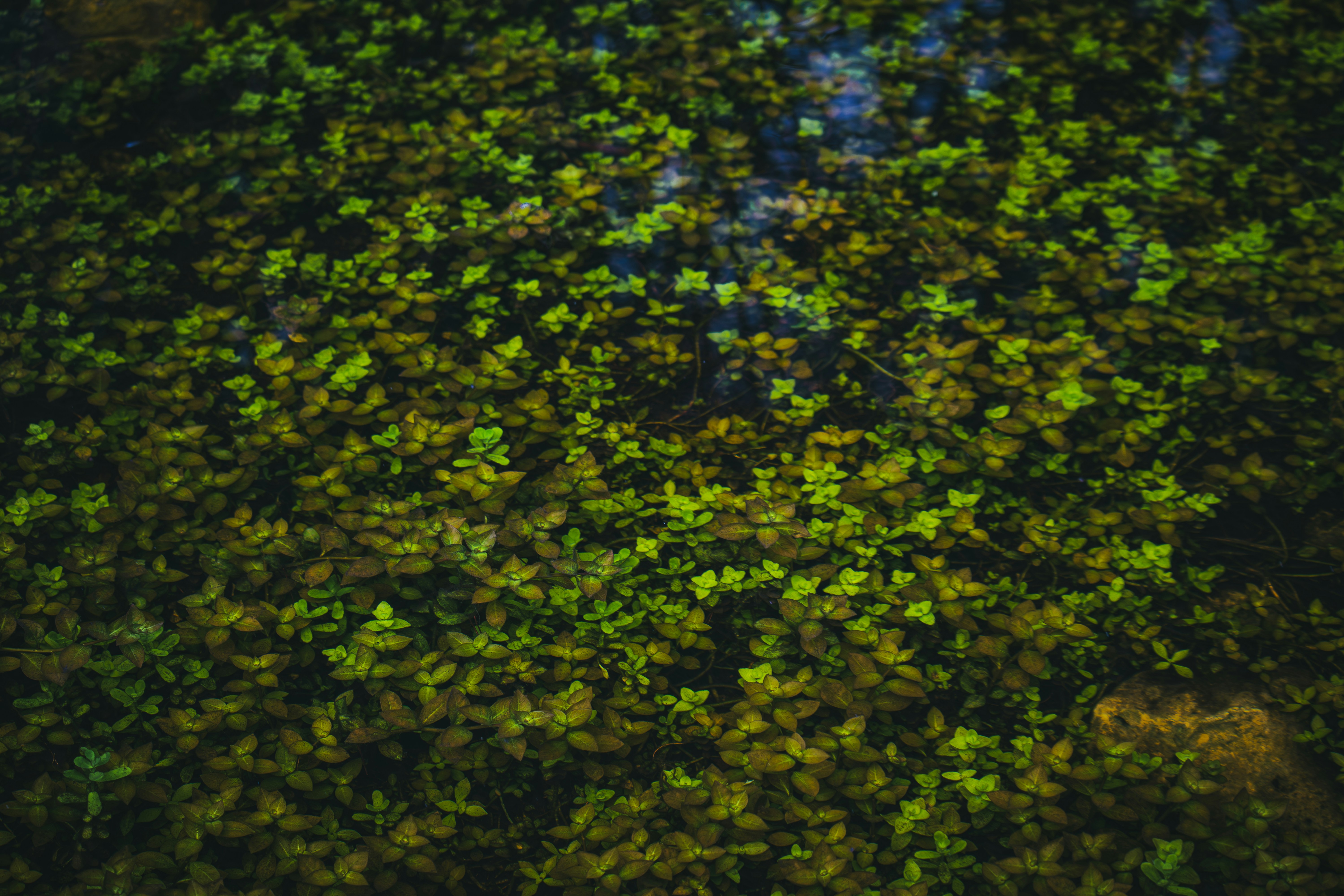 Photo by brice_cooper18