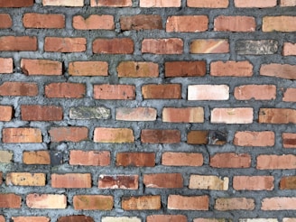 A wall constructed from reddish-orange bricks of varying shades, arranged in a horizontal pattern. The gaps between the bricks are filled with gray mortar, giving a rustic and rugged appearance.