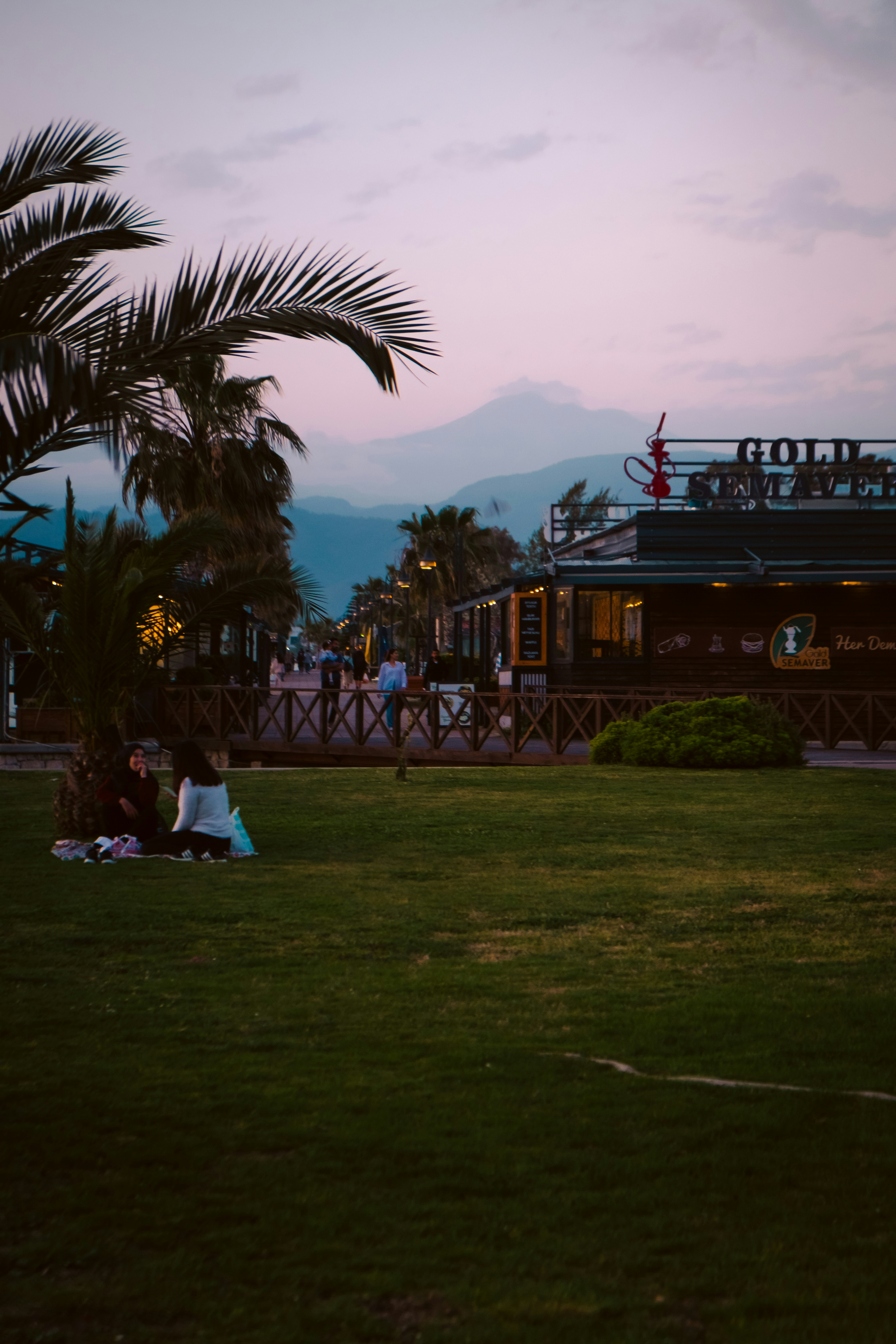 a group of people sitting on top of a lush green field