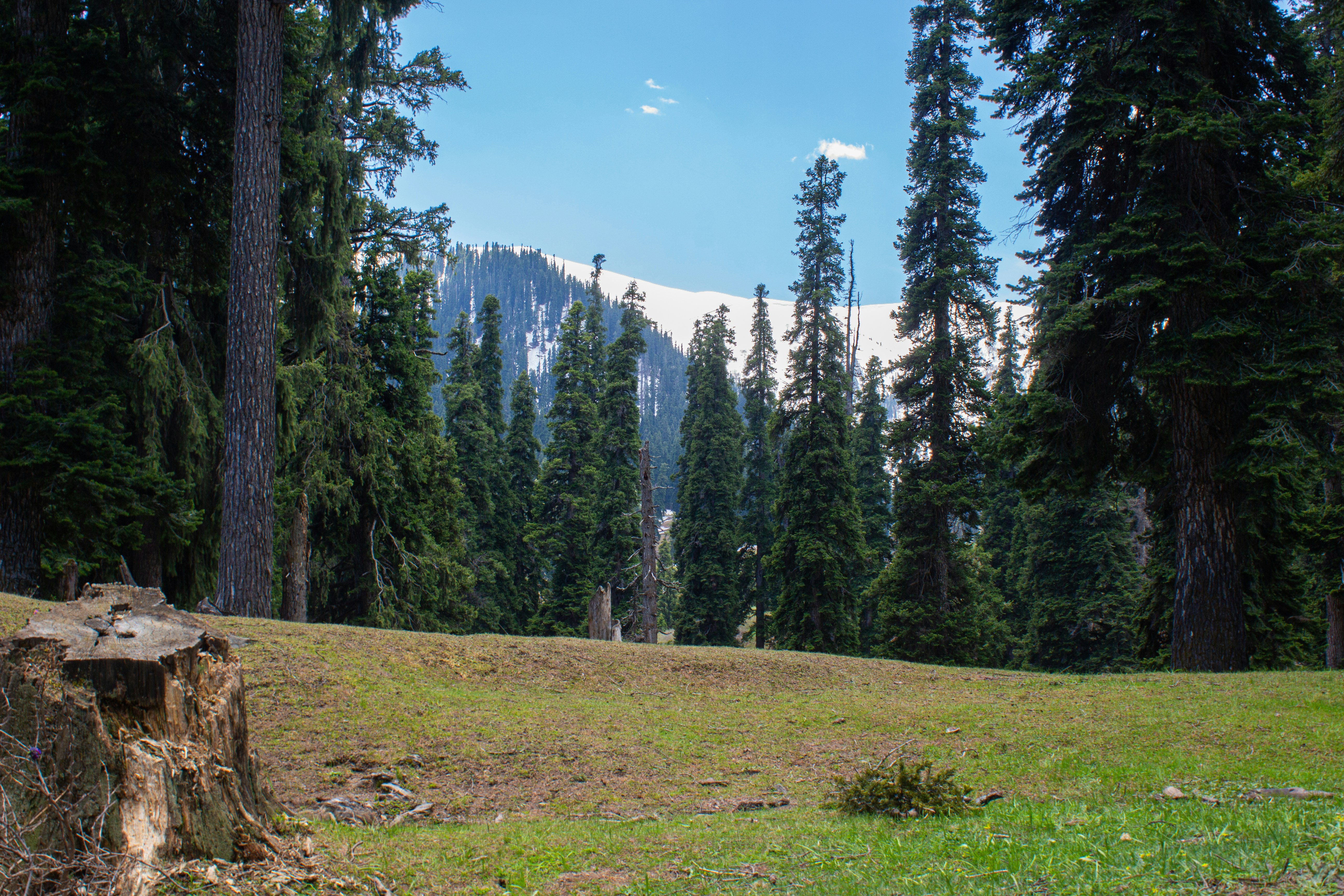 Photo by nipun_photography_unsplash