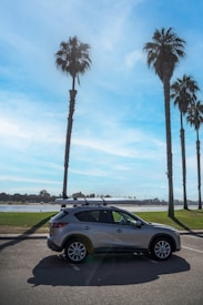 A silver SUV is parked in a lot near a waterfront area, with a kayak or similar equipment attached to its roof rack. Tall palm trees surround the scene, reaching up into a bright blue sky scattered with wispy clouds. The background shows a body of water and distant trees, suggesting a coastal or lakeside location.