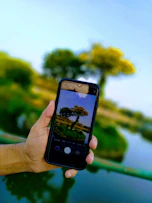 Close-up of a hand holding a phone displaying a tree mapping app with a map of Kingsville.