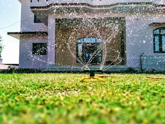 A sprinkler is watering a lush green lawn in front of a modern house with large windows. Water droplets are visibly scattering in the sunlight, creating a refreshing and lively scene.
