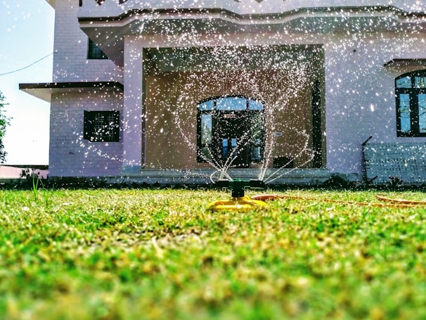 Wide shot of a freshly pressure-washed driveway glistening under the sun, surrounded by a neat garden.