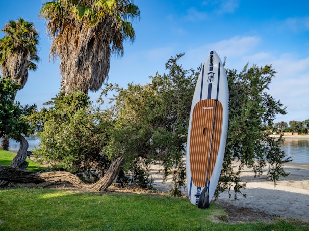 A stand-up paddleboard is positioned against dense greenery, with a sandy beach and body of water visible in the background. Tall palm trees are seen nearby, adding to the tropical feel of the scene. The clear blue sky suggests it is a bright and sunny day.