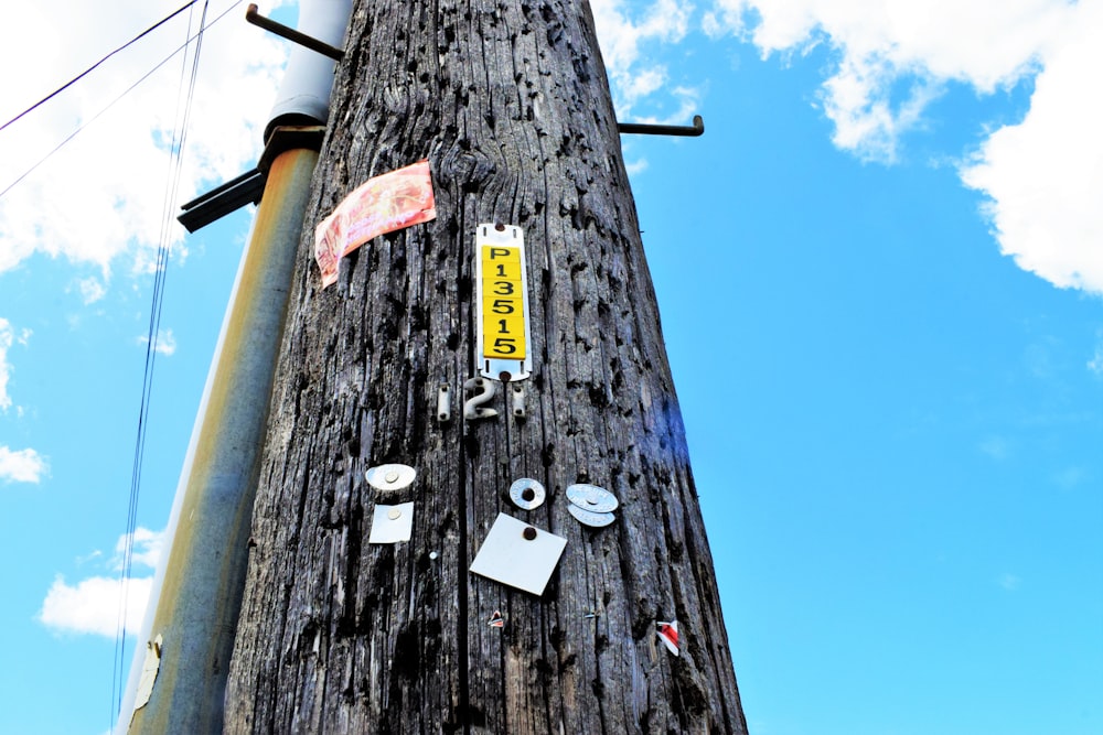 a telephone pole with a sign on it