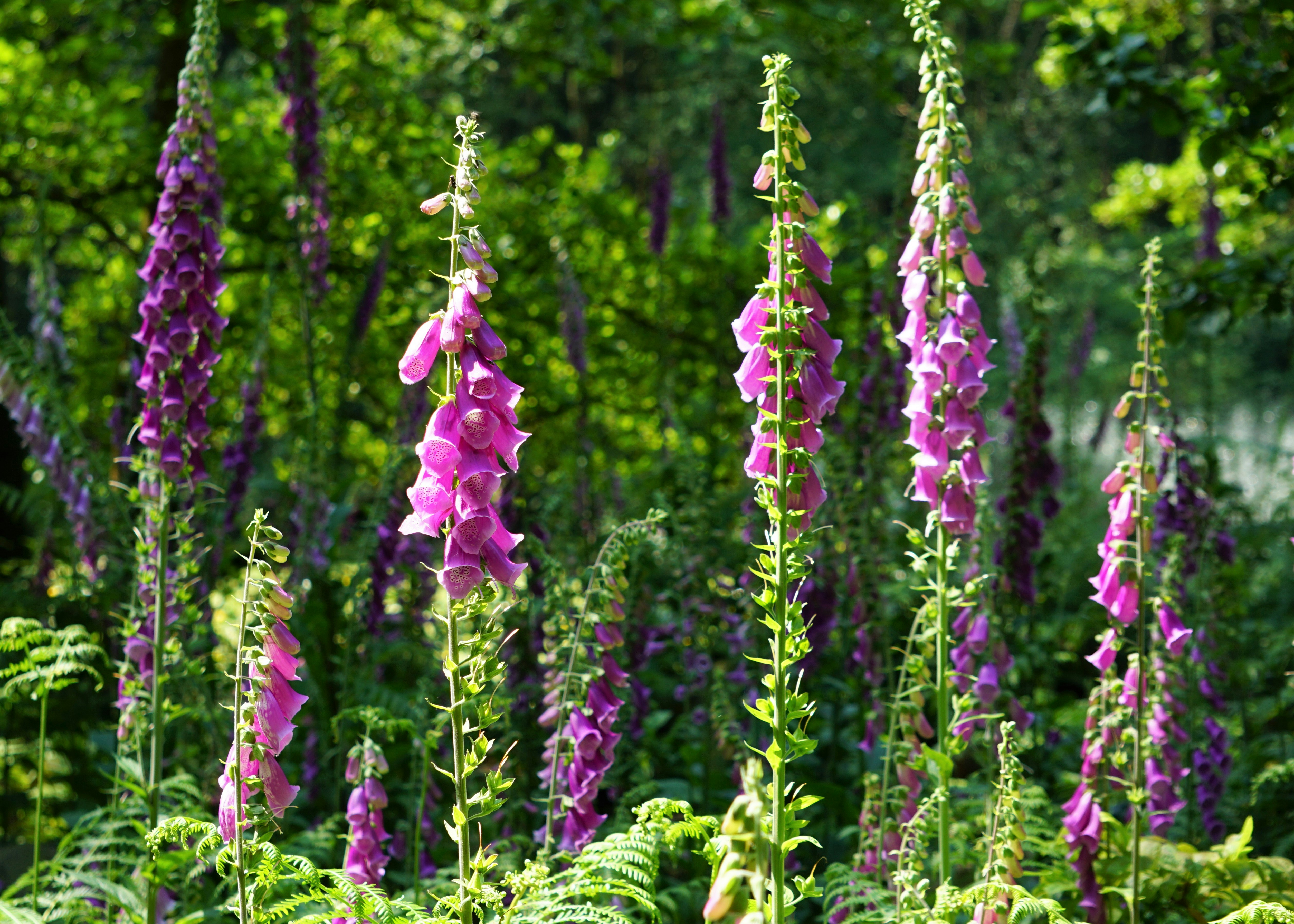 Photo by mostlymarvelling