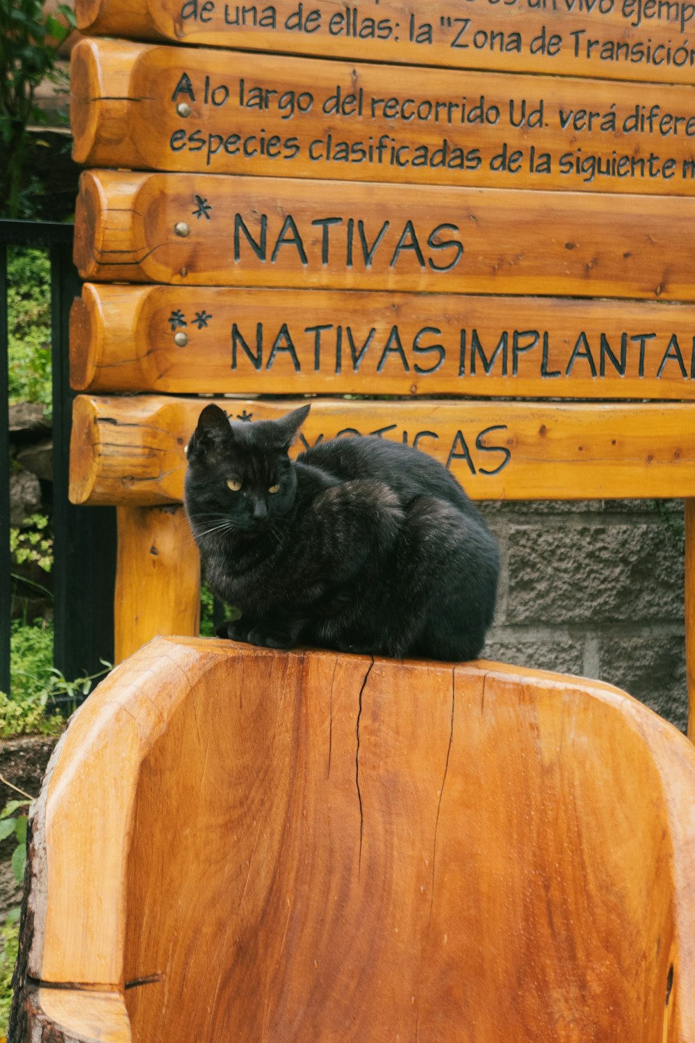 a black cat sitting on top of a wooden chair