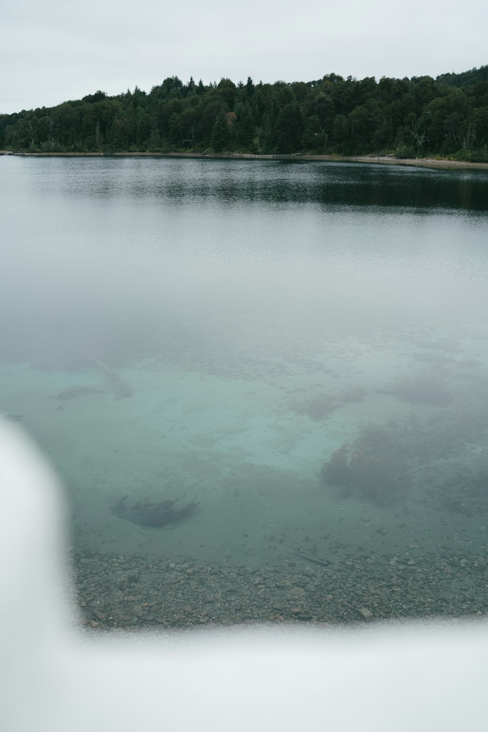 a large body of water surrounded by trees