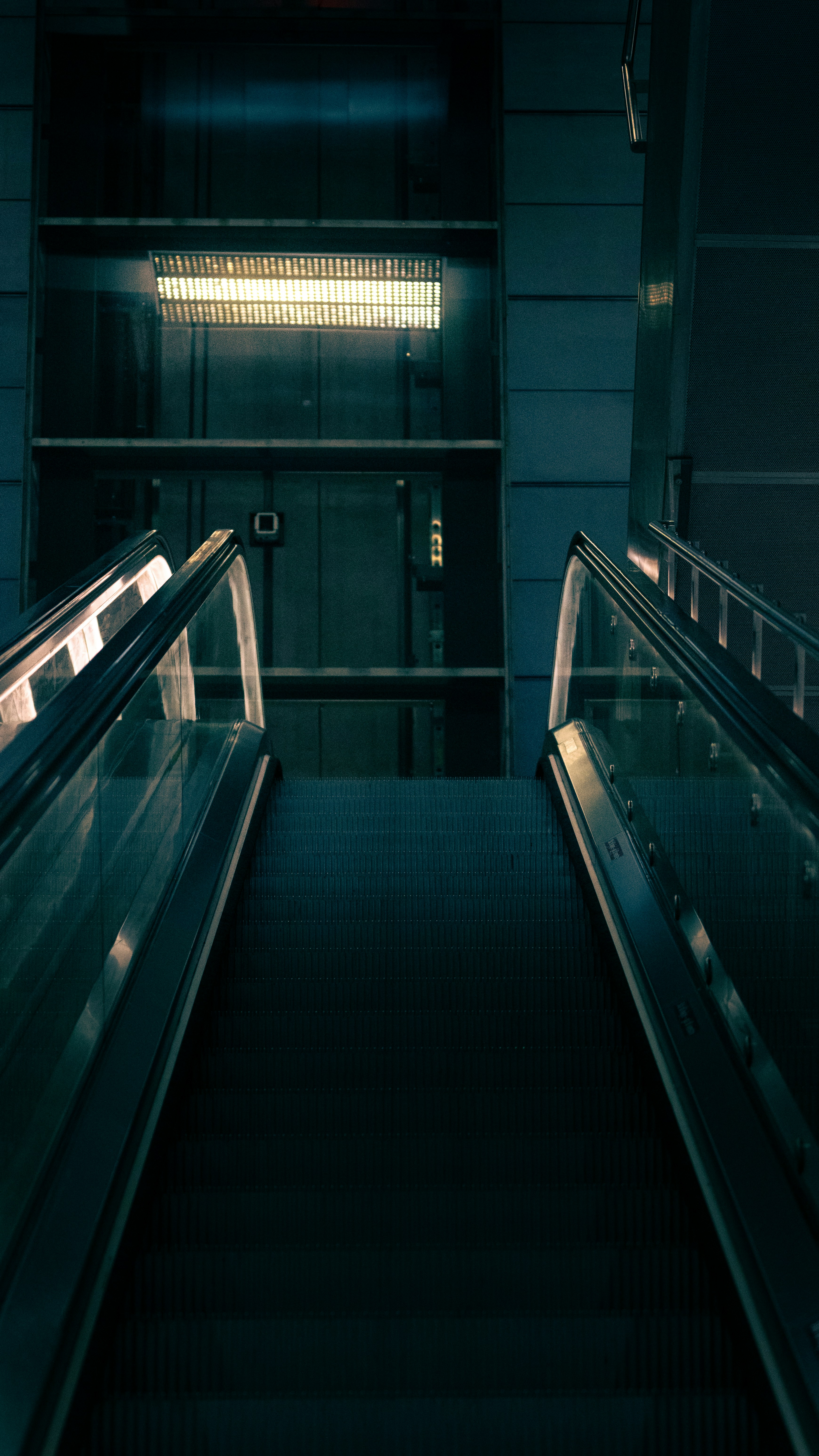 Photo by siboldmichel