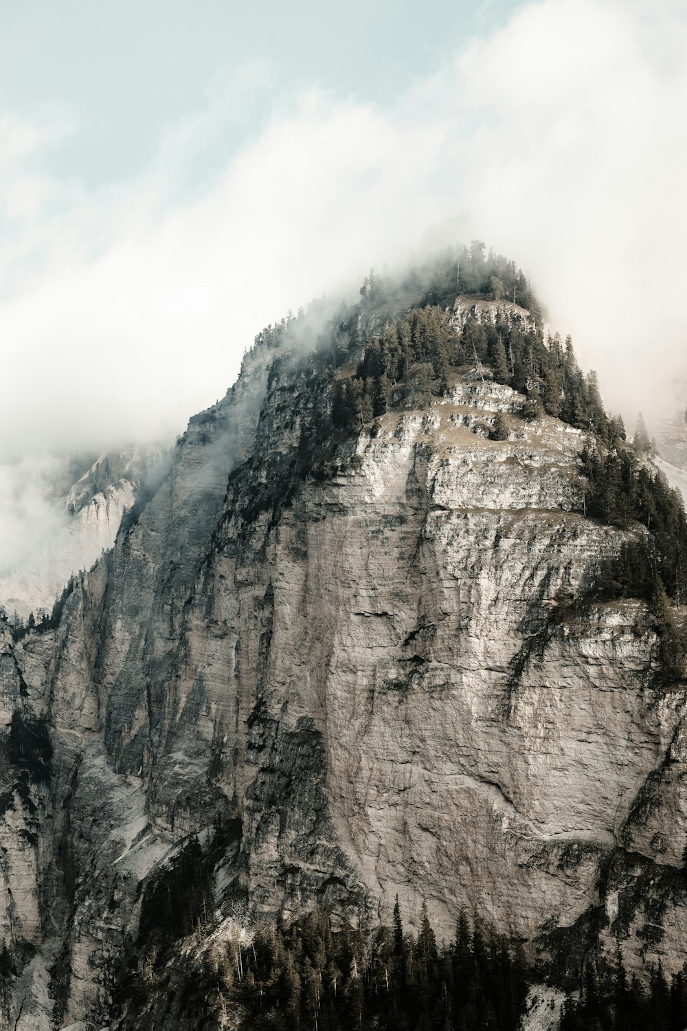 a mountain covered in clouds and trees