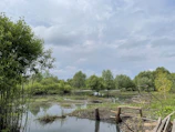 A serene wetland landscape with integrated ecological water systems under soft morning light.
