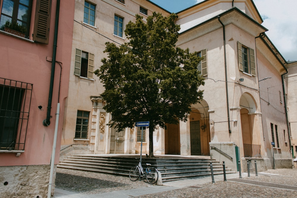 a tree in front of a building with stairs