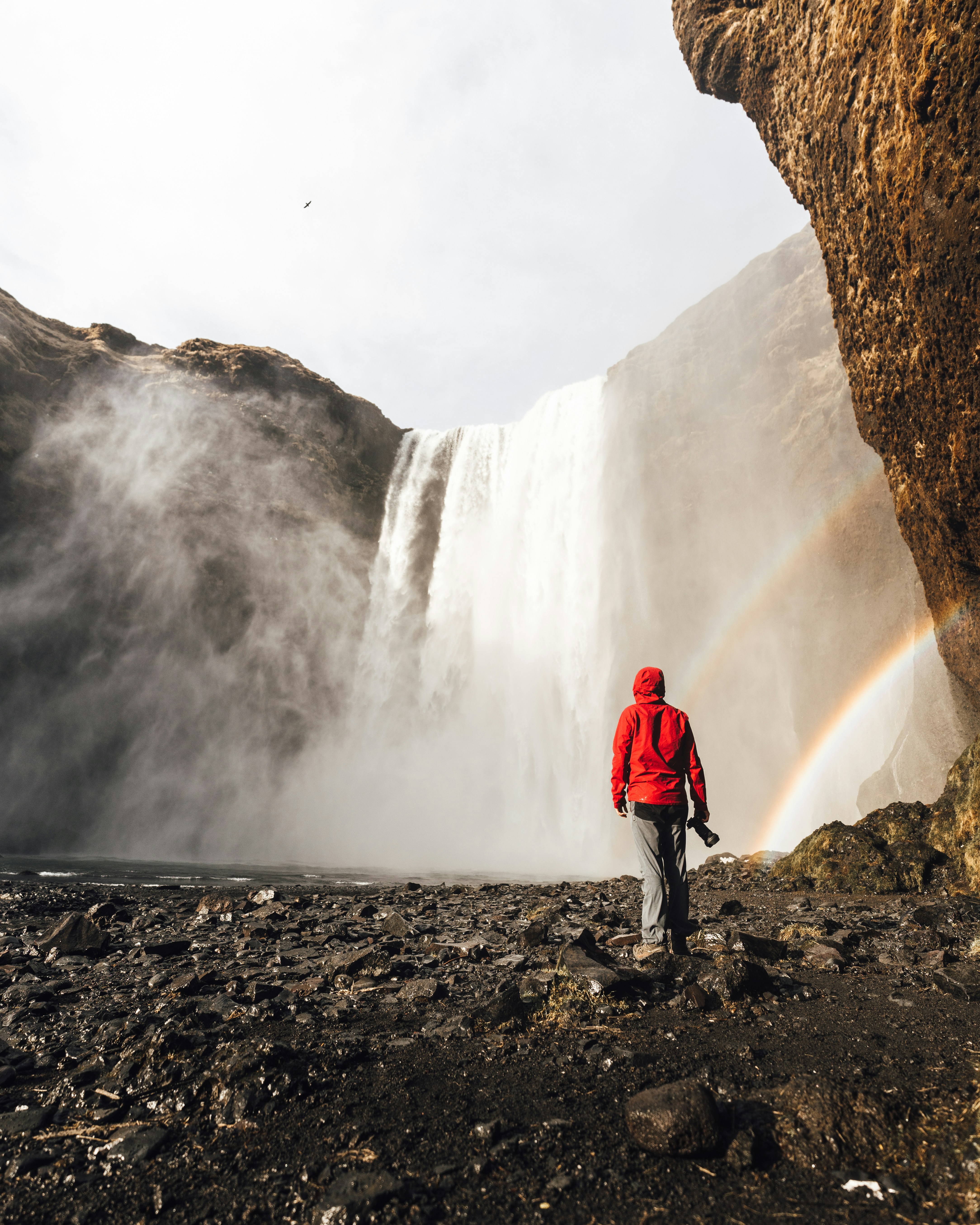 Photo by siboldmichel